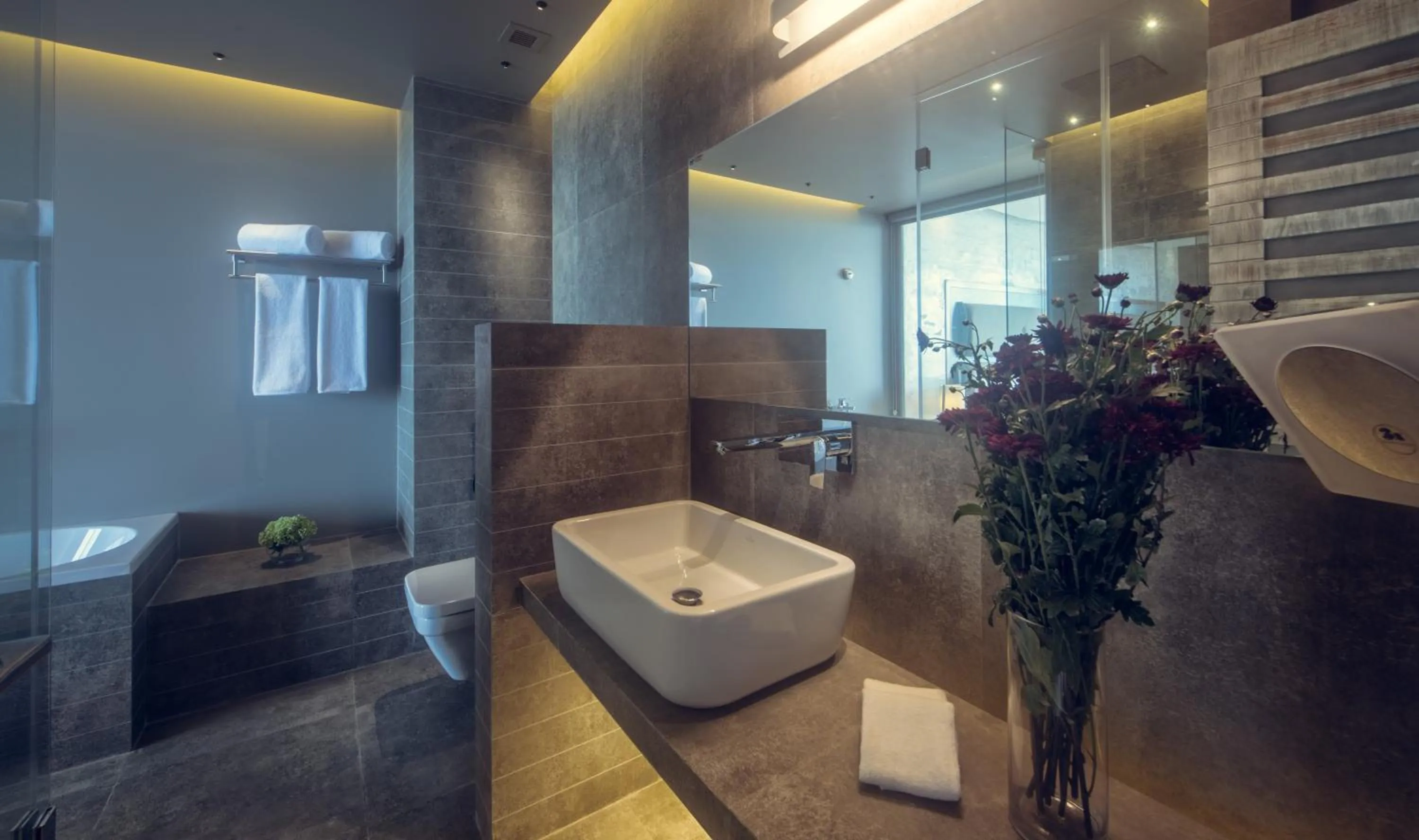 Bathroom in Pledge Scape