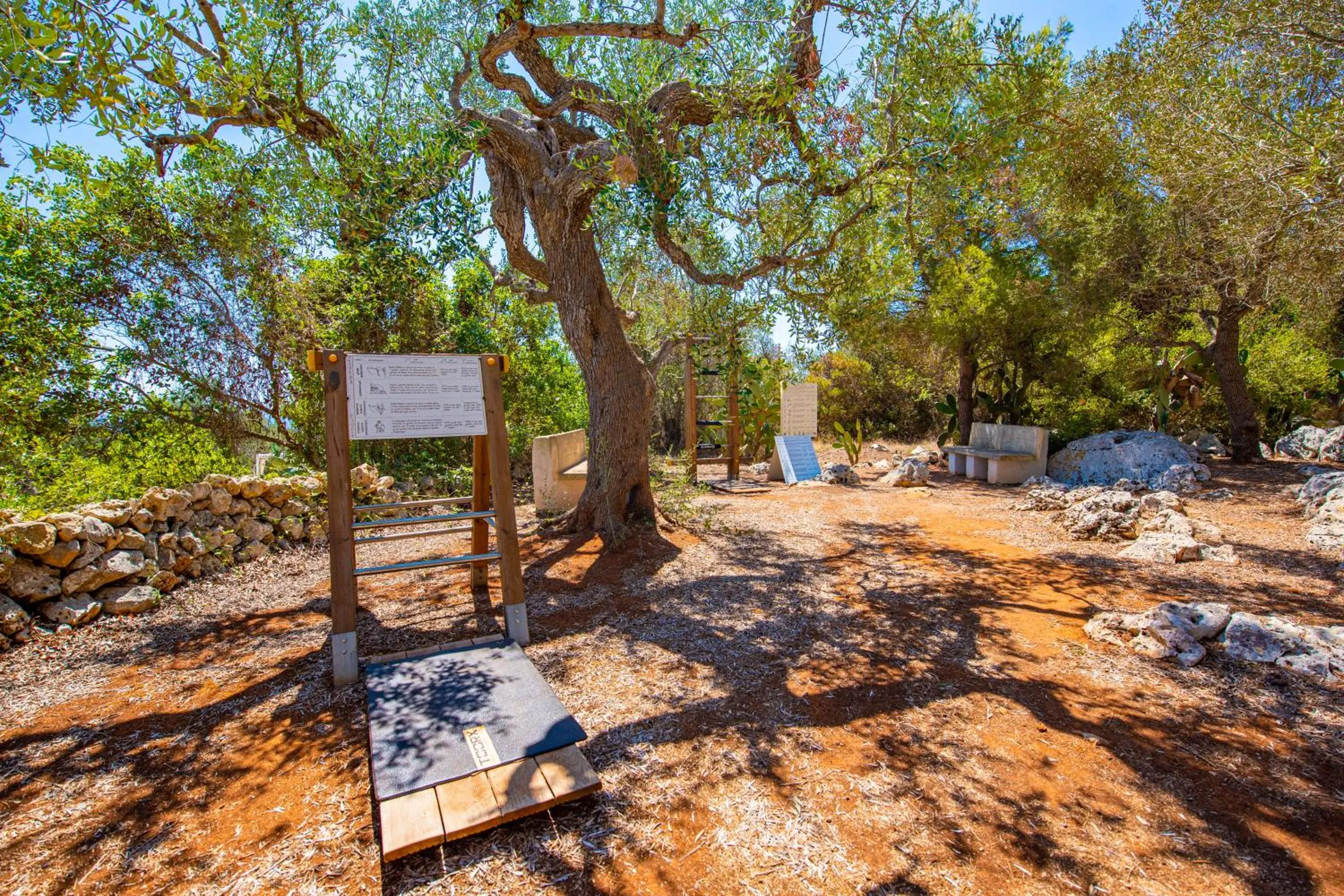 Fitness centre/facilities in Marenea Suite Hotel - CDSHotels Fitness centre/facilities in Marenea Suite Hotel - CDSHotels