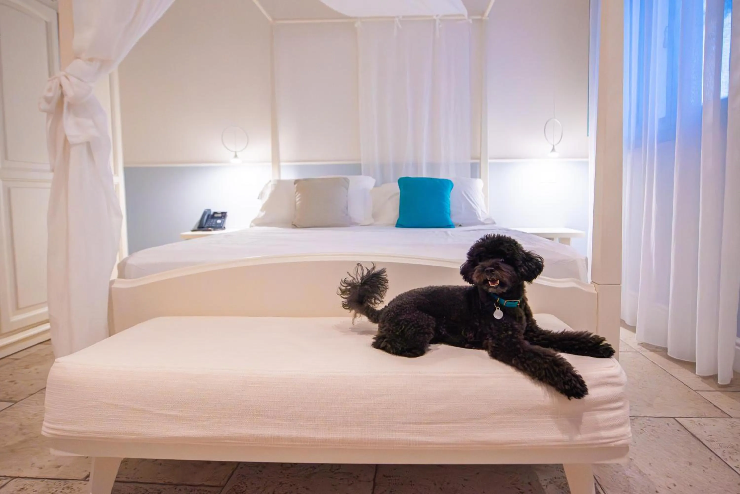 Photo of the whole room, Bed in Marenea Suite Hotel - CDSHotels