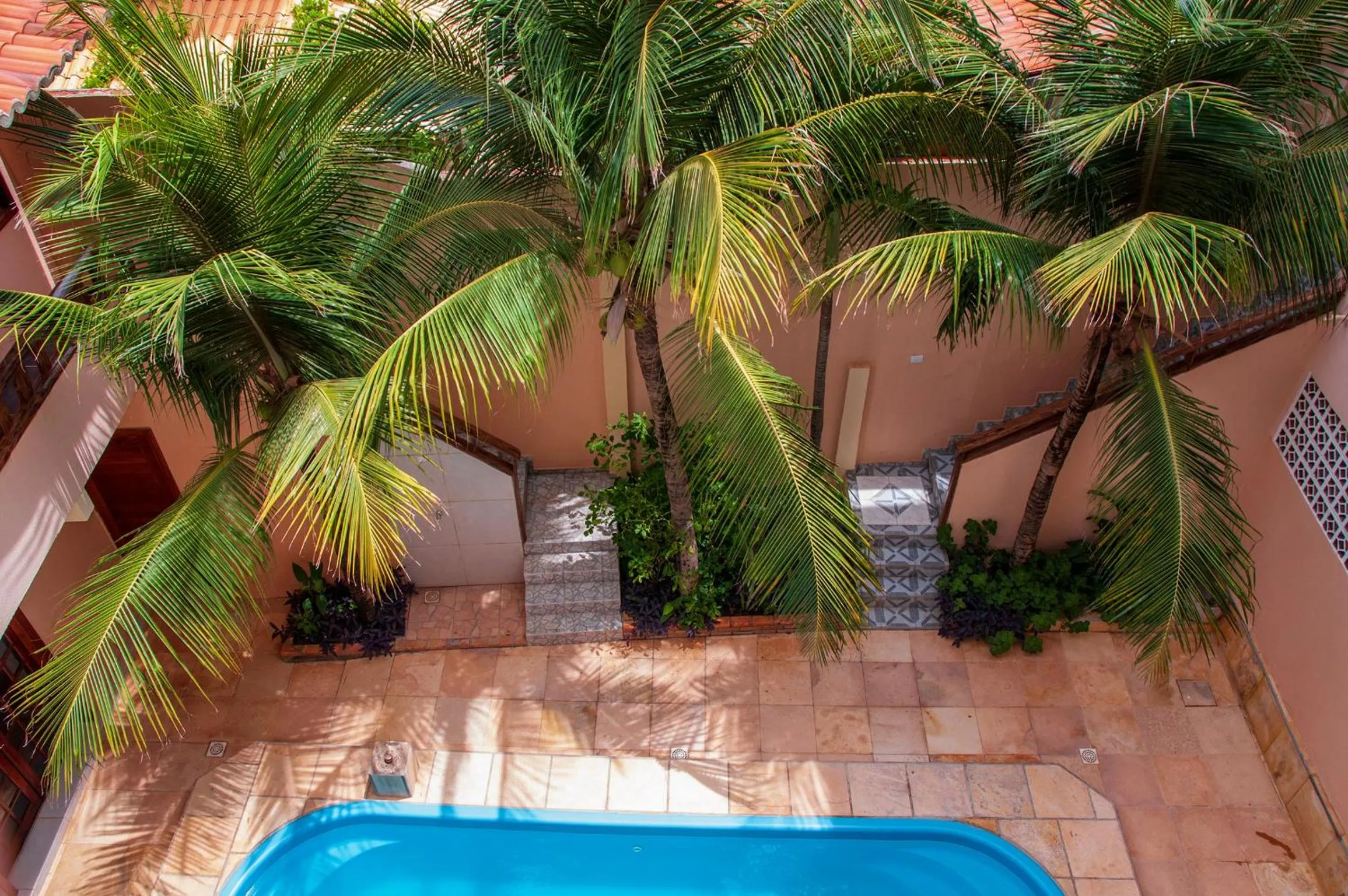 Garden in Hotel Alta Vista