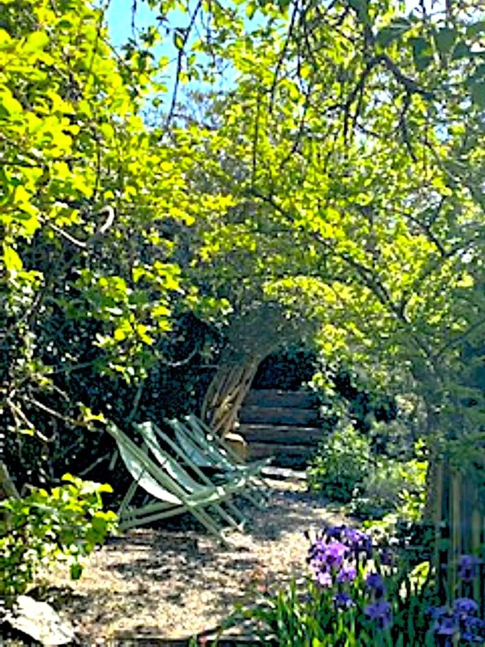 Garden in Chez Providence Chambres et Table d'Hôtes