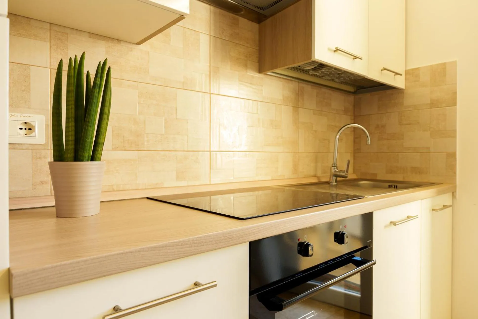 kitchen in Golden Apartments