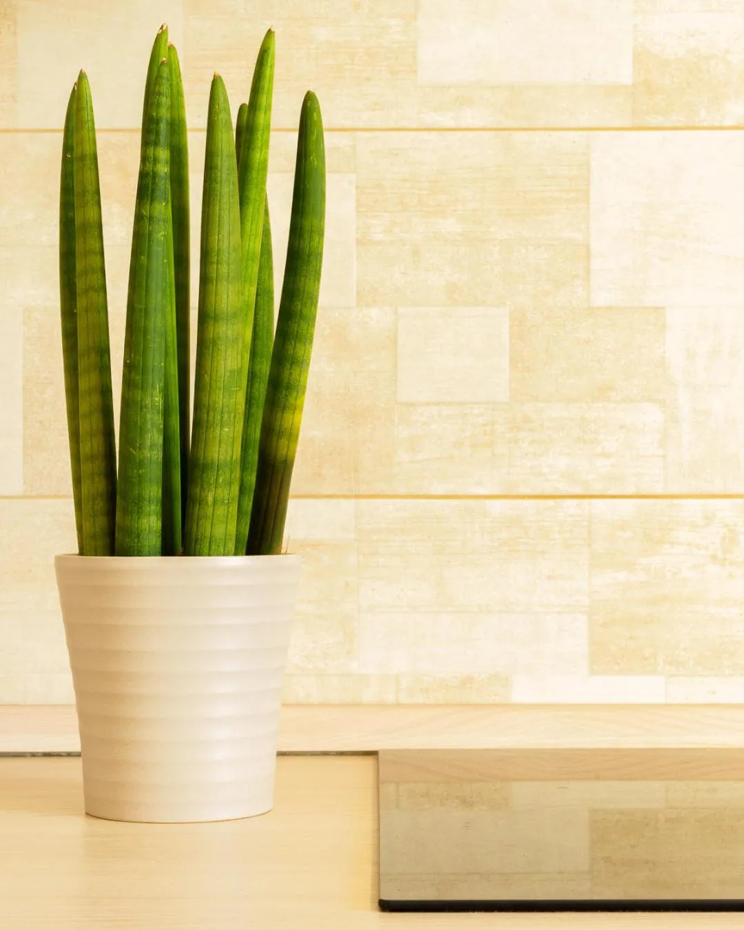 Decorative detail in Golden Apartments