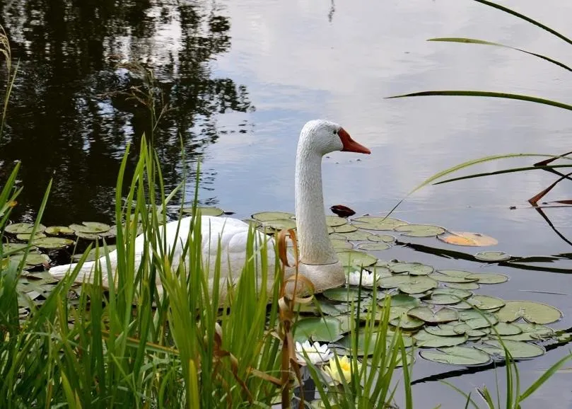 Hotel Marco Płońsk Szkolna 115