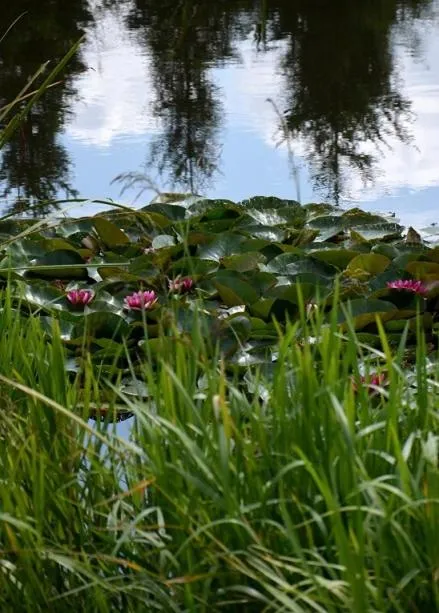 Hotel Marco Płońsk Szkolna 115