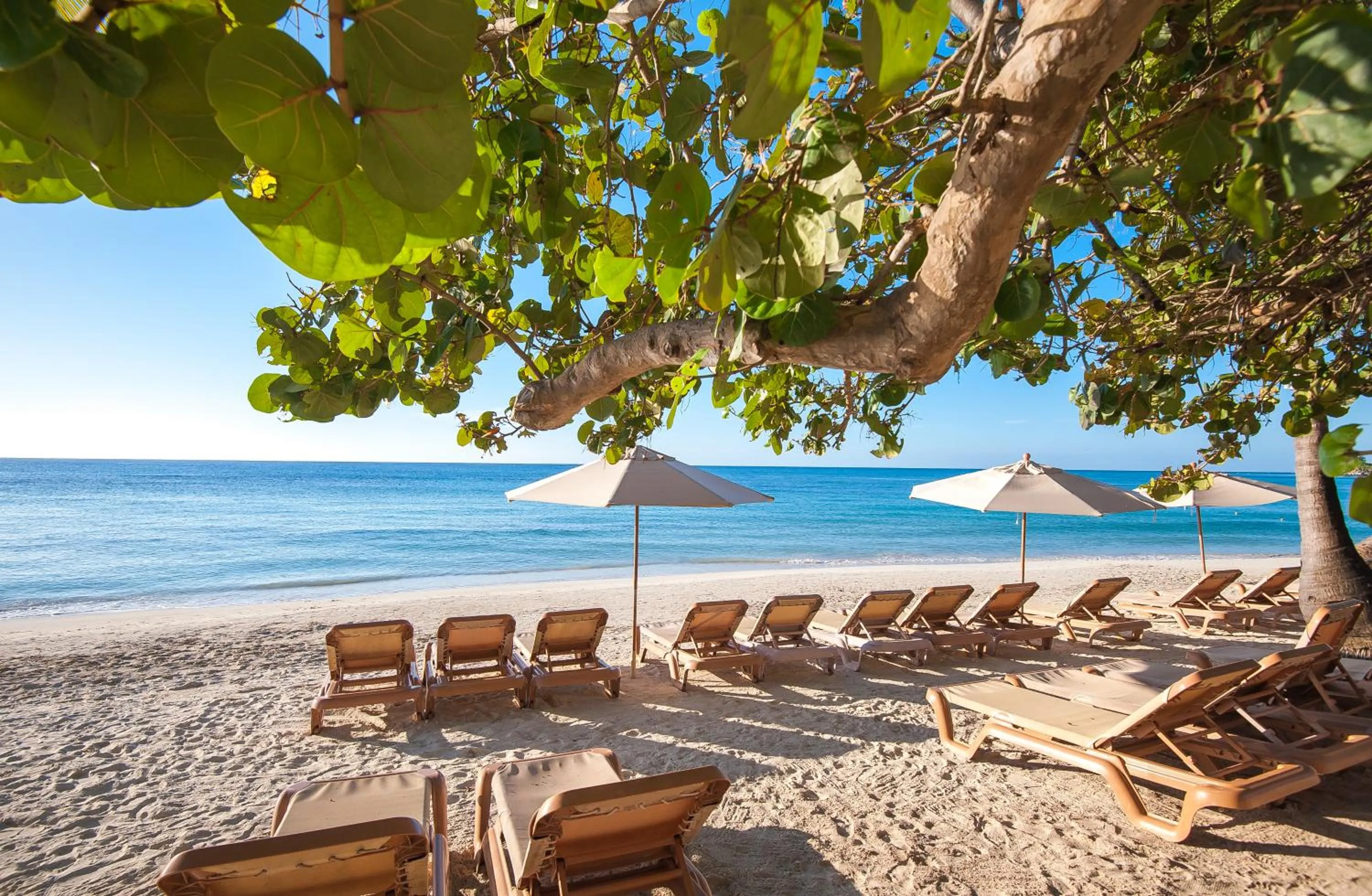 Natural landscape in Infinity Bay Spa & Beach Resort