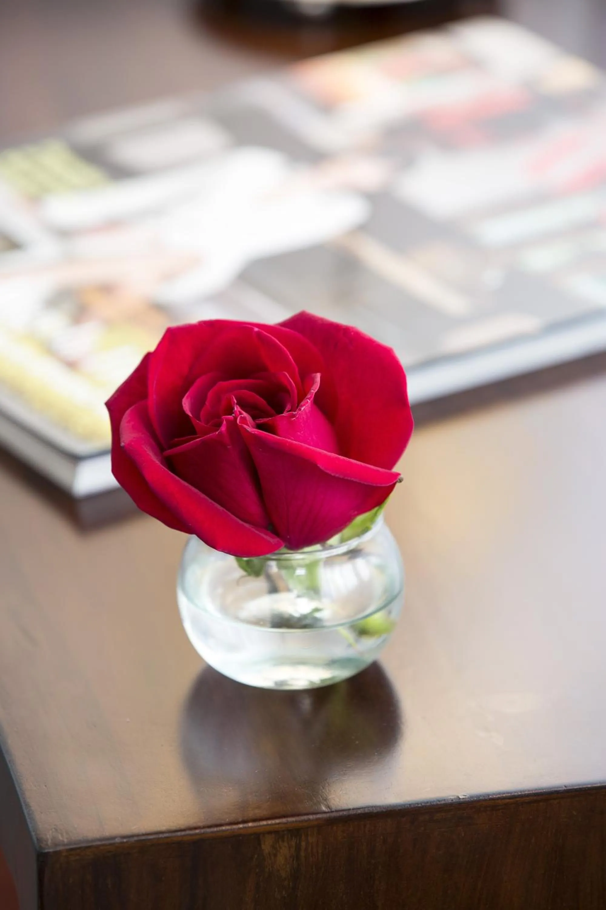 TERRA PREMIUM Hostal Boutique