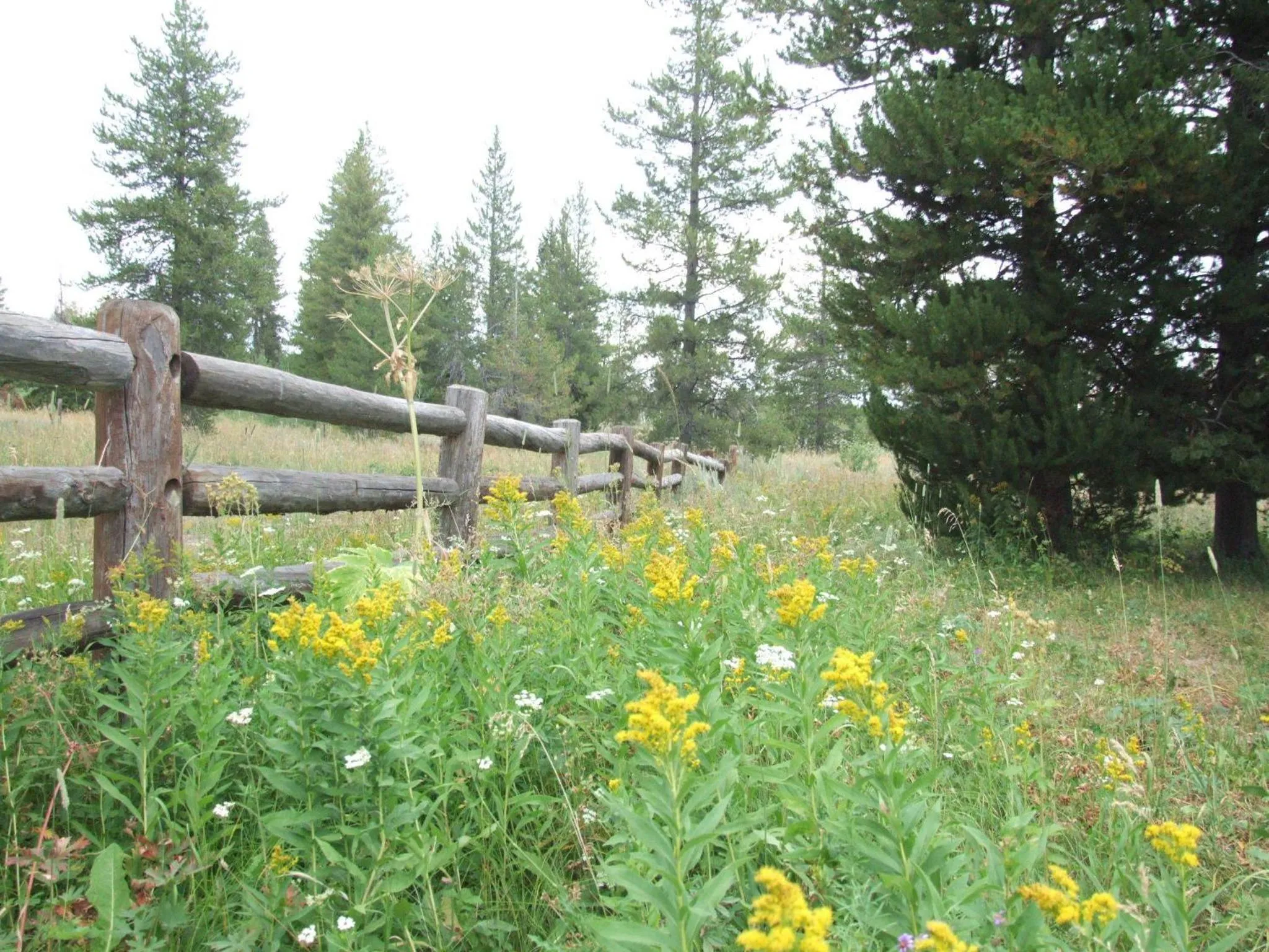 Other in Eagle Ridge Ranch