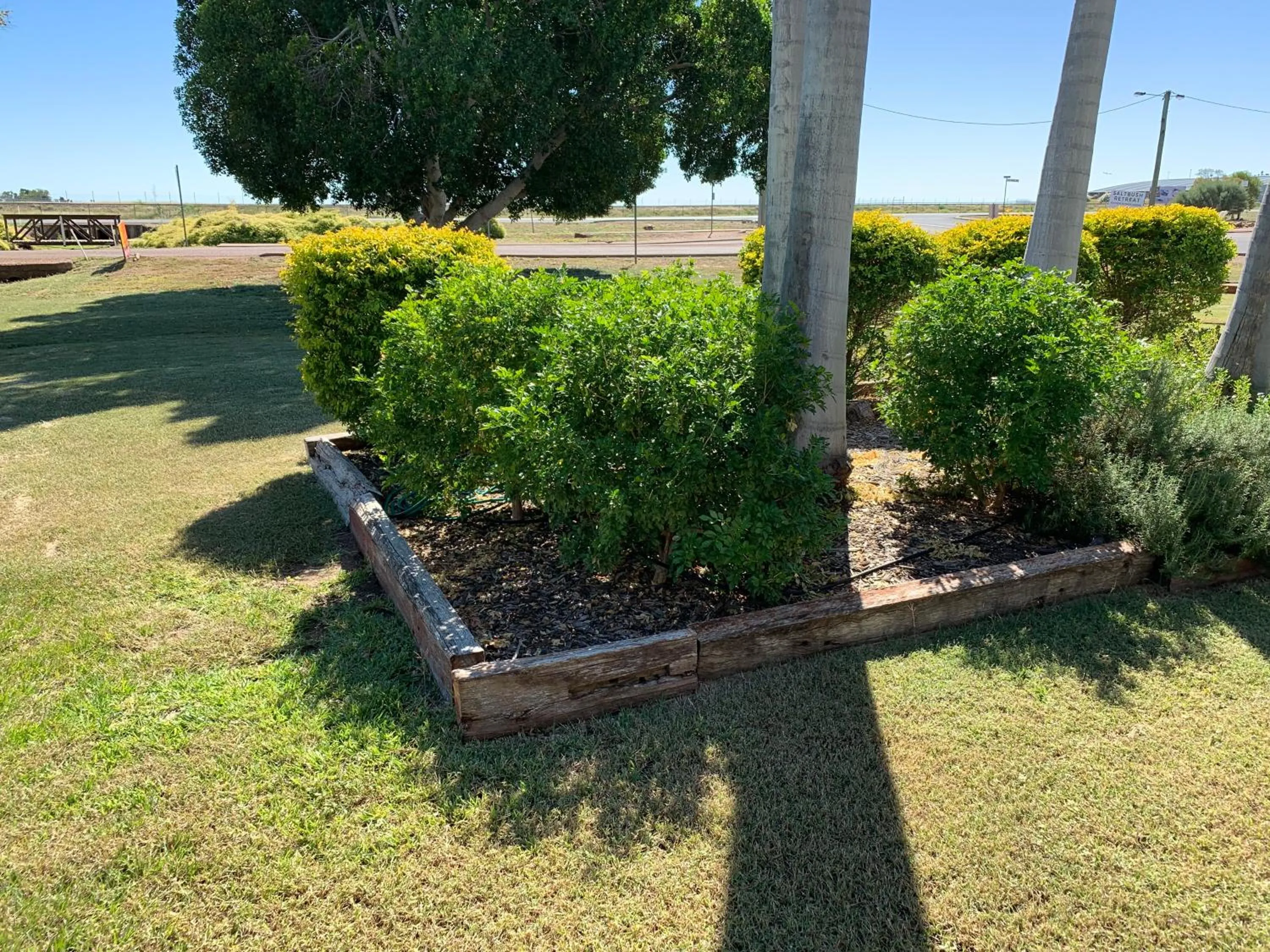 Garden in Albert Park Motor Inn
