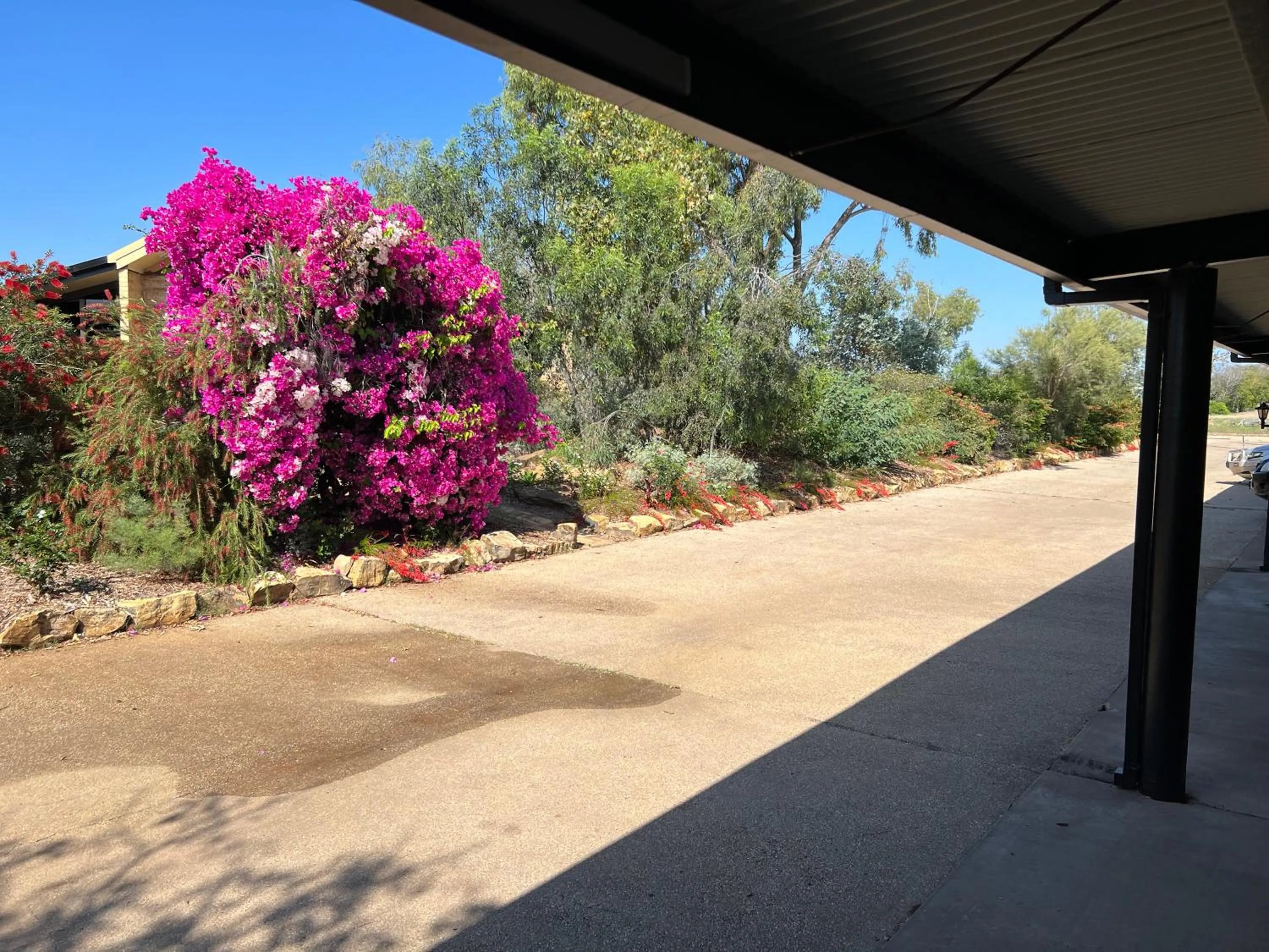Garden in Albert Park Motor Inn