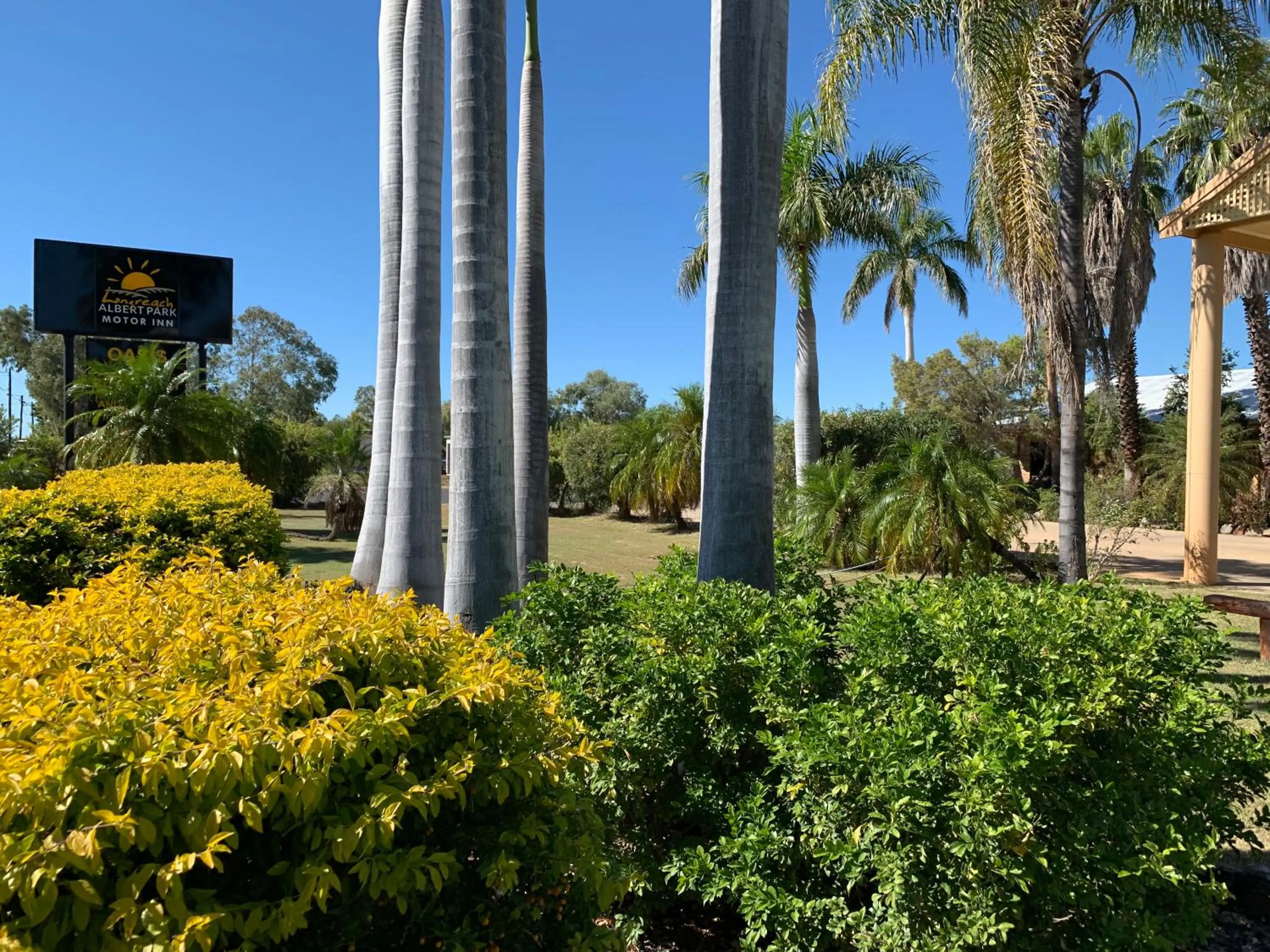 Garden in Albert Park Motor Inn