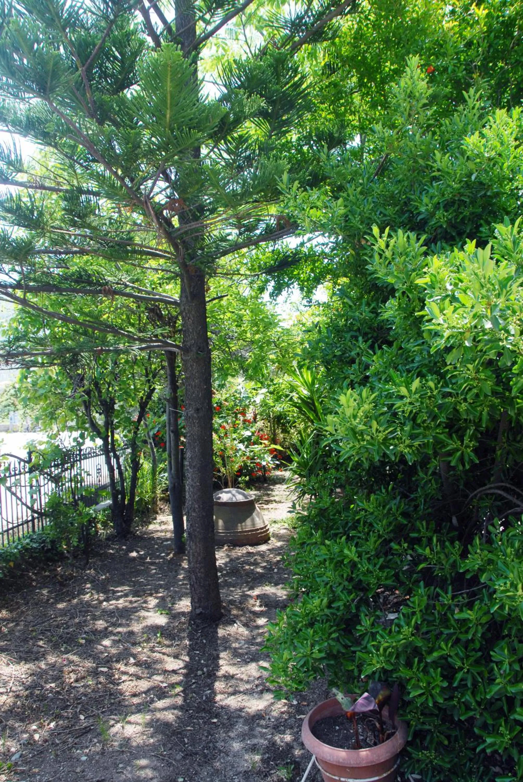 Garden in Anofli Suites
