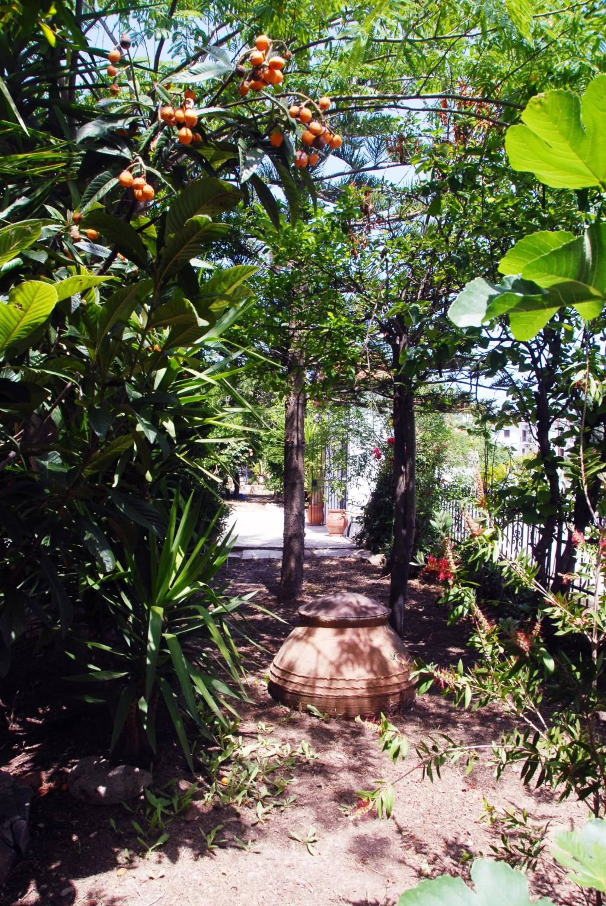 Garden in Anofli Suites
