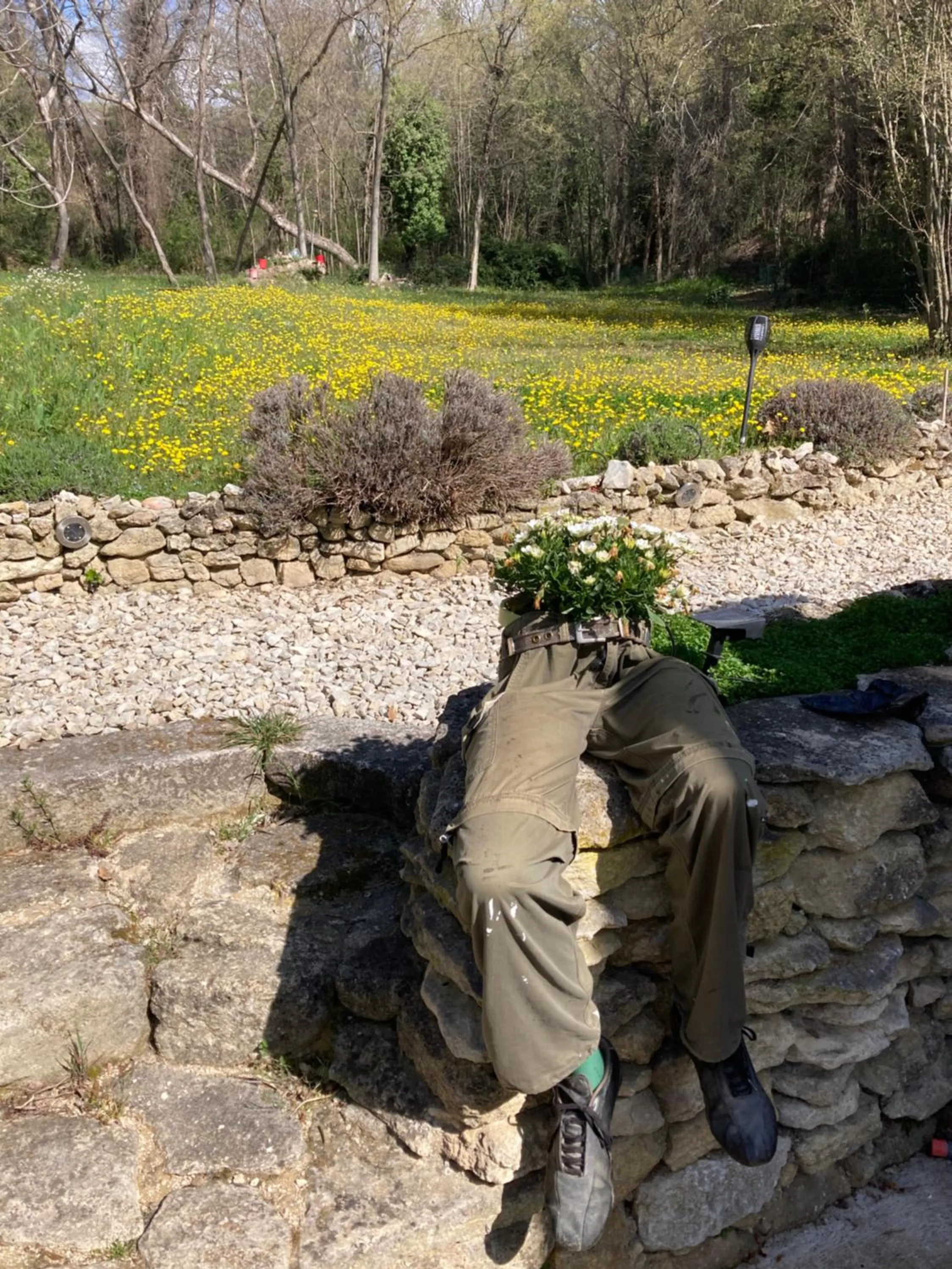 Garden in Le Mas aux Arômes