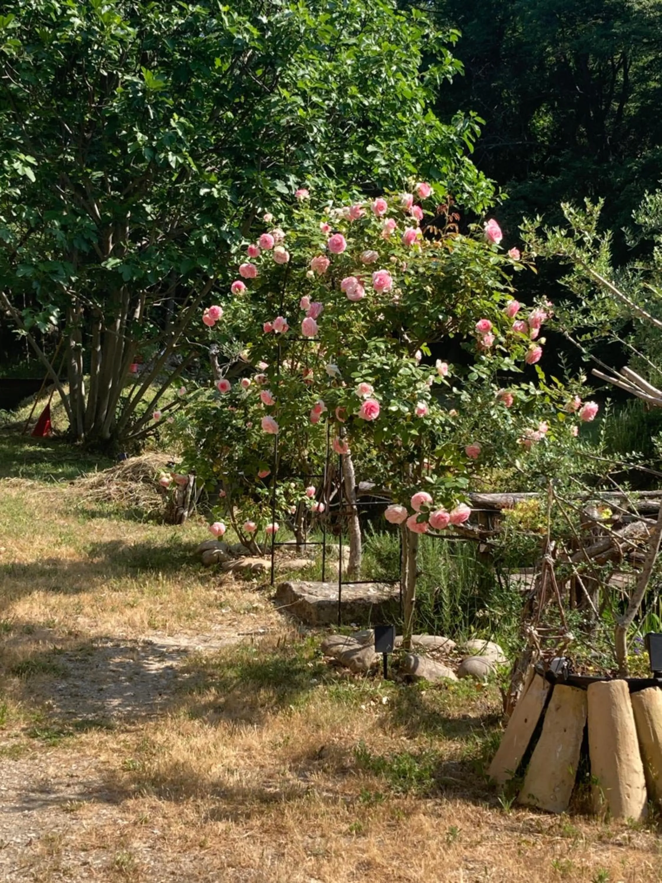 Garden in Le Mas aux Arômes
