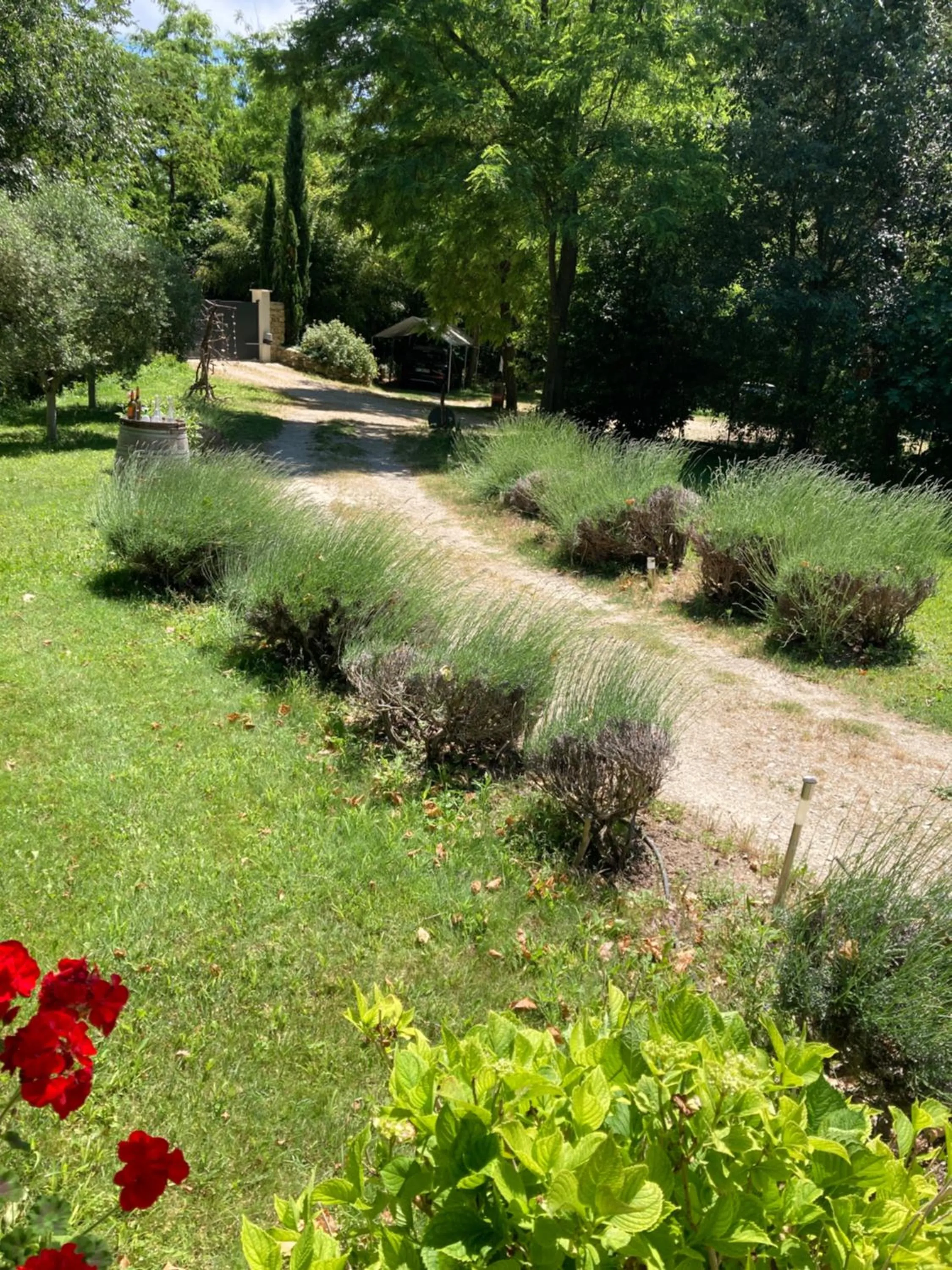 Garden in Le Mas aux Arômes