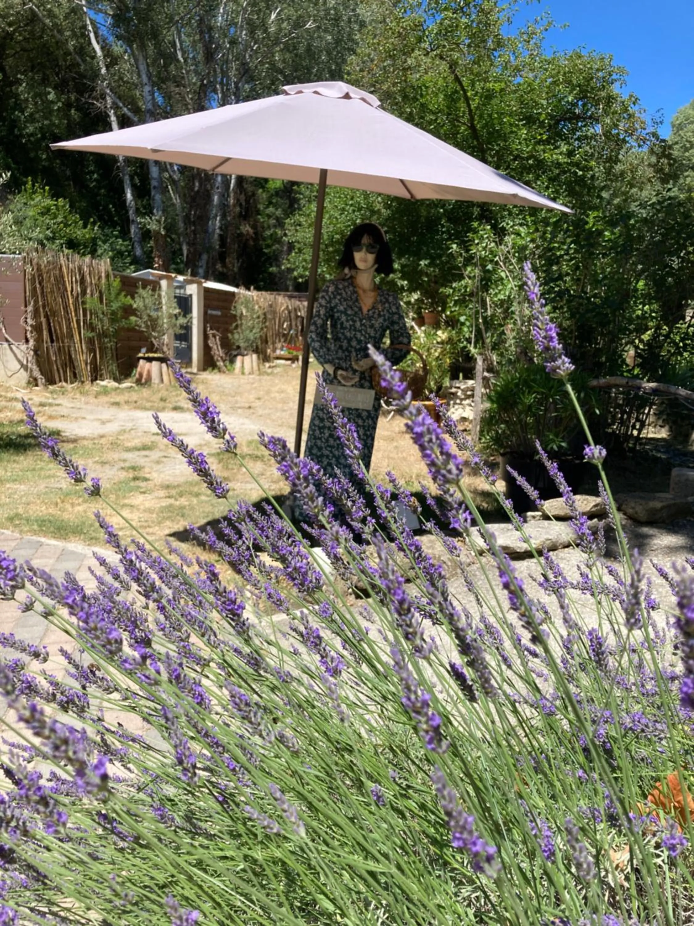 Garden in Le Mas aux Arômes