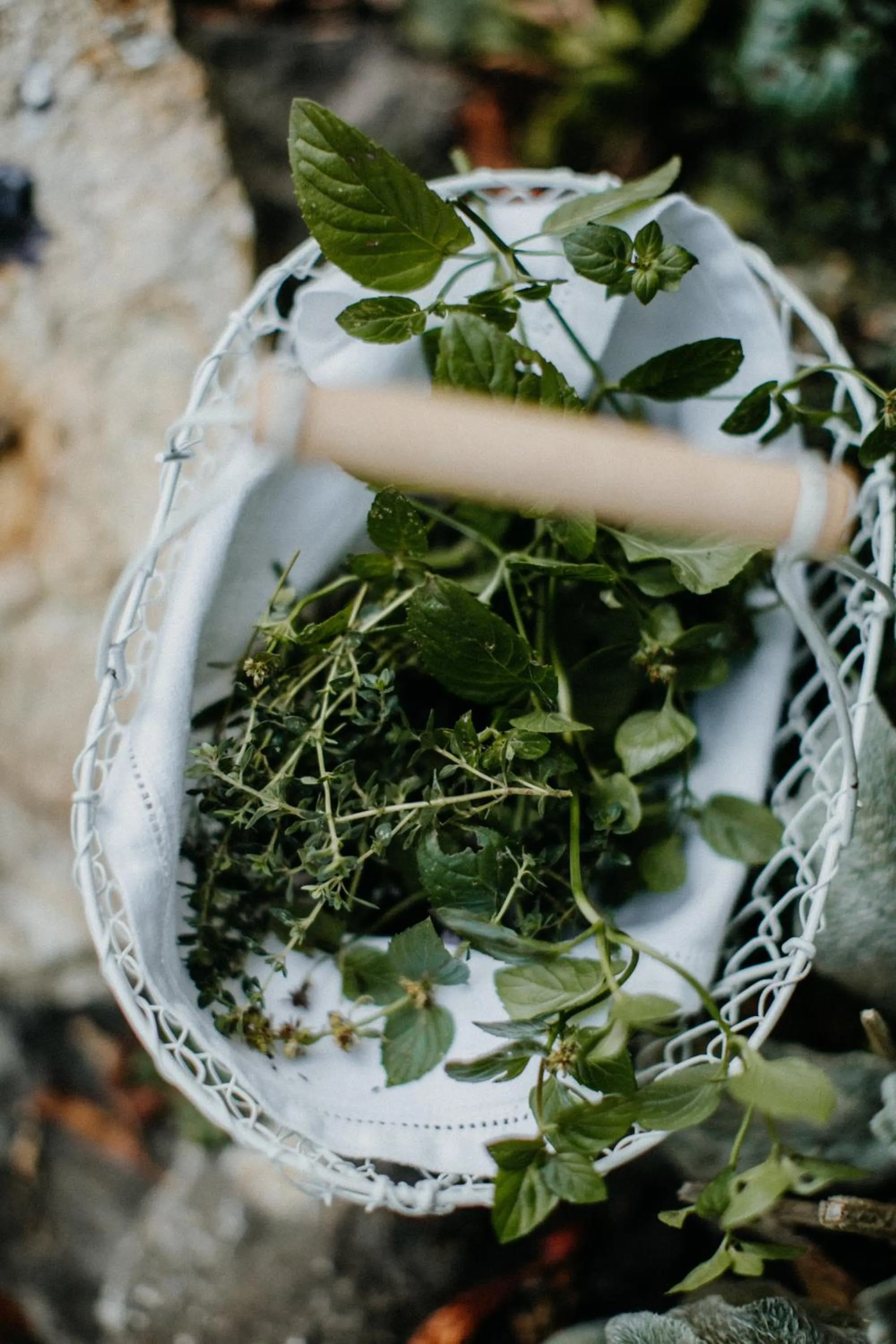 Restaurant/places to eat in Landhotel Rosenschänke