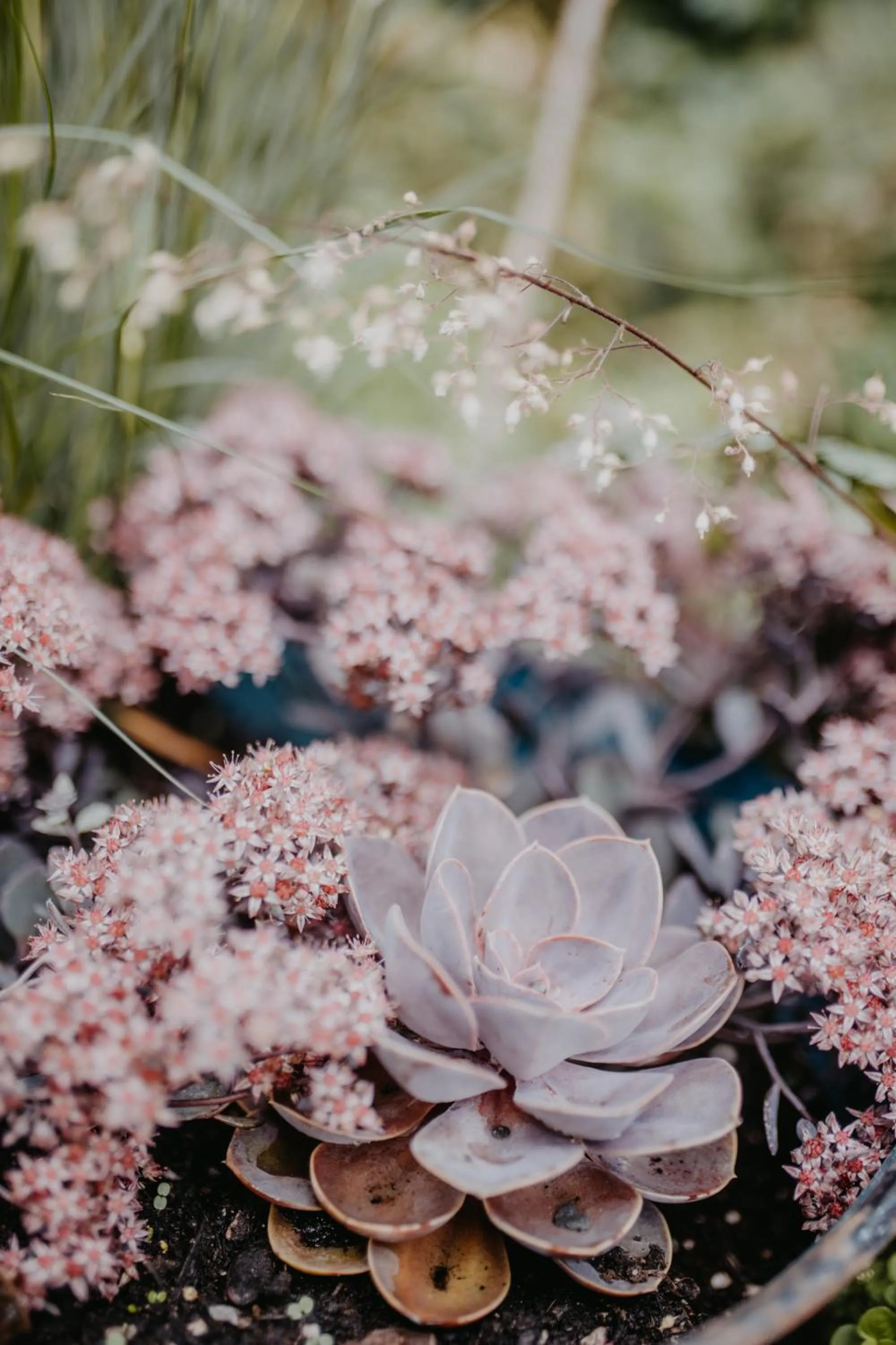 Garden in Landhotel Rosenschänke