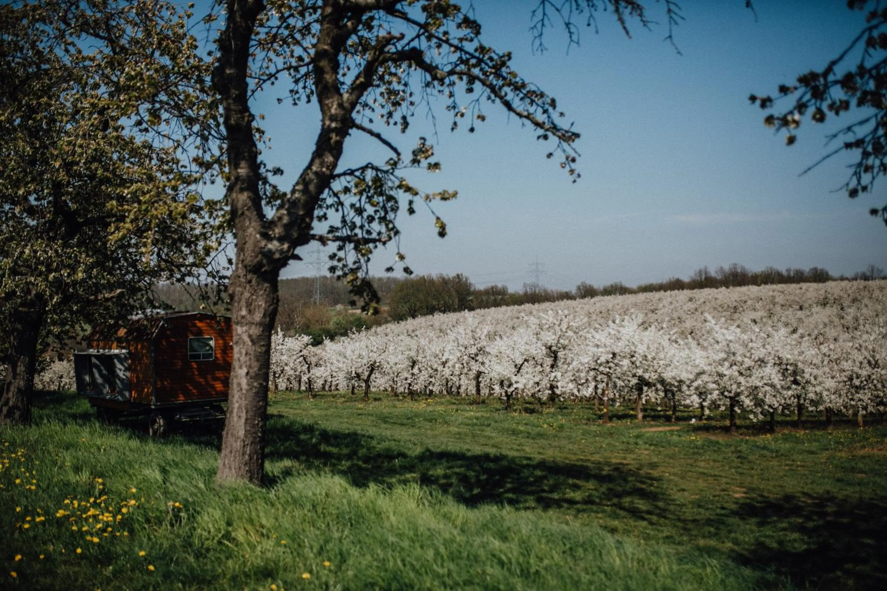 Nearby landmark in Landhotel Rosenschänke