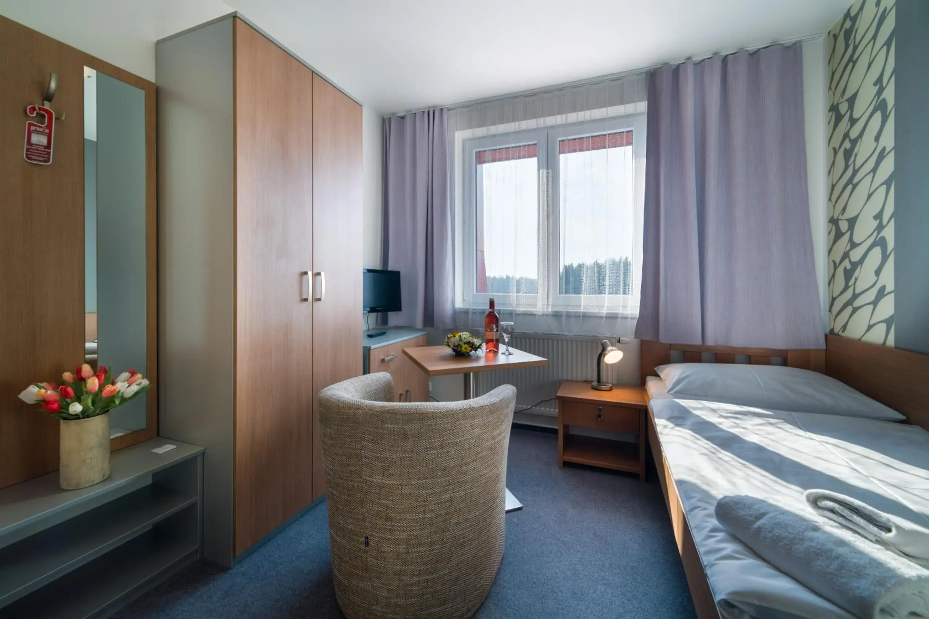 Single Room in Garni Hotel Třeboň Single Room in Garni Hotel Třeboň