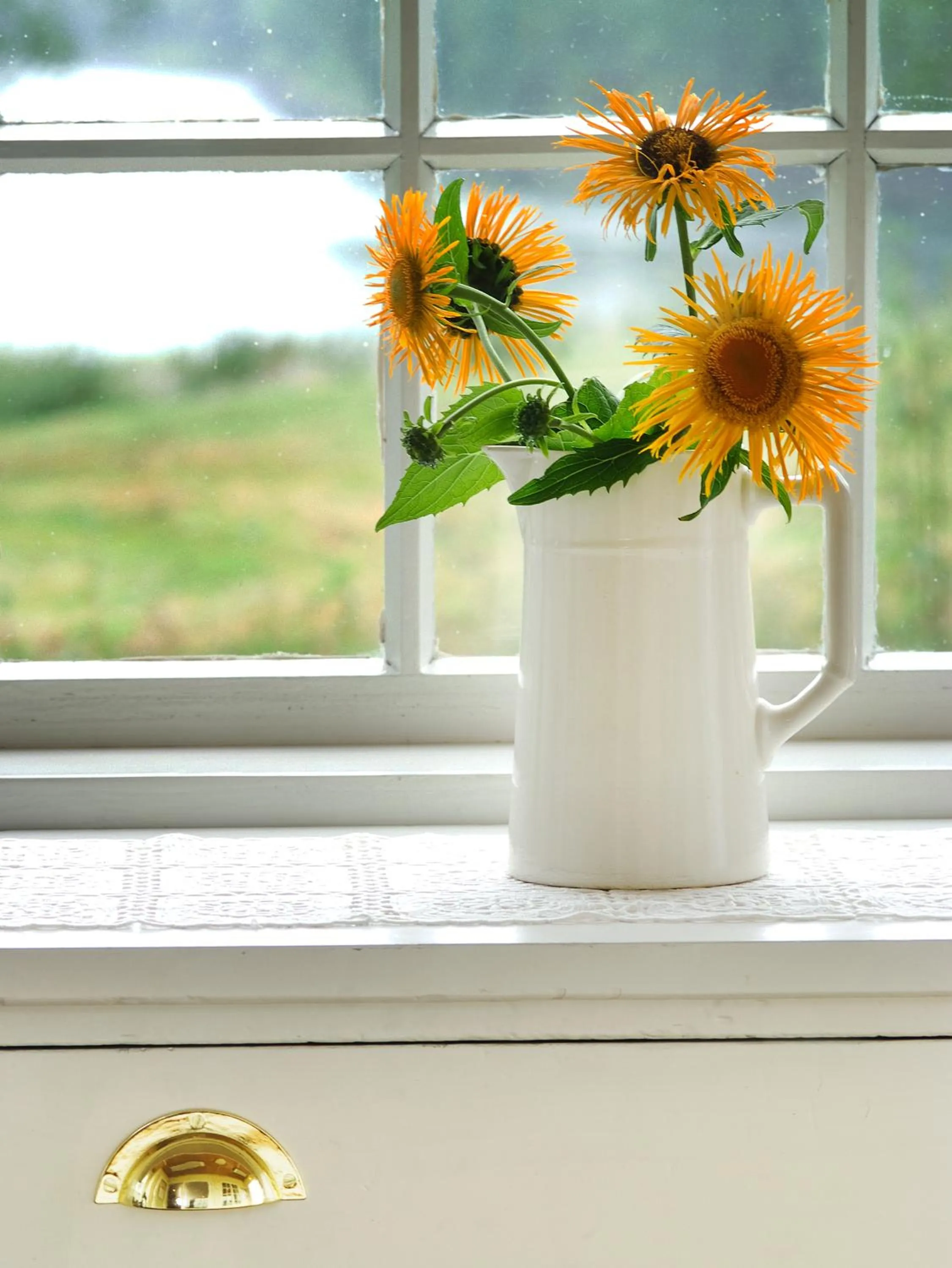 Summer in Rundhaug Gjestegard