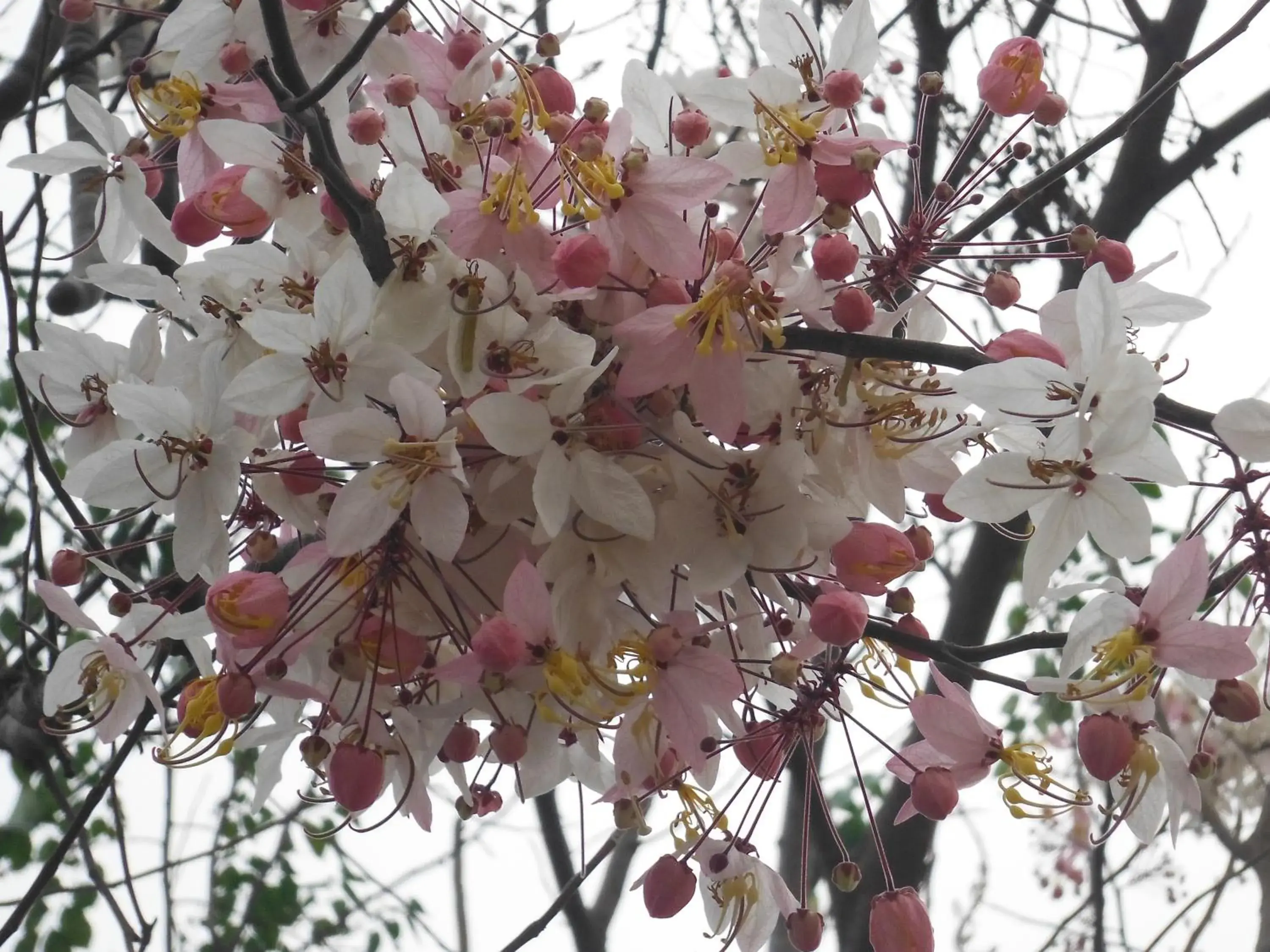 High Hill Fresh Resort High Hill Fresh Resort