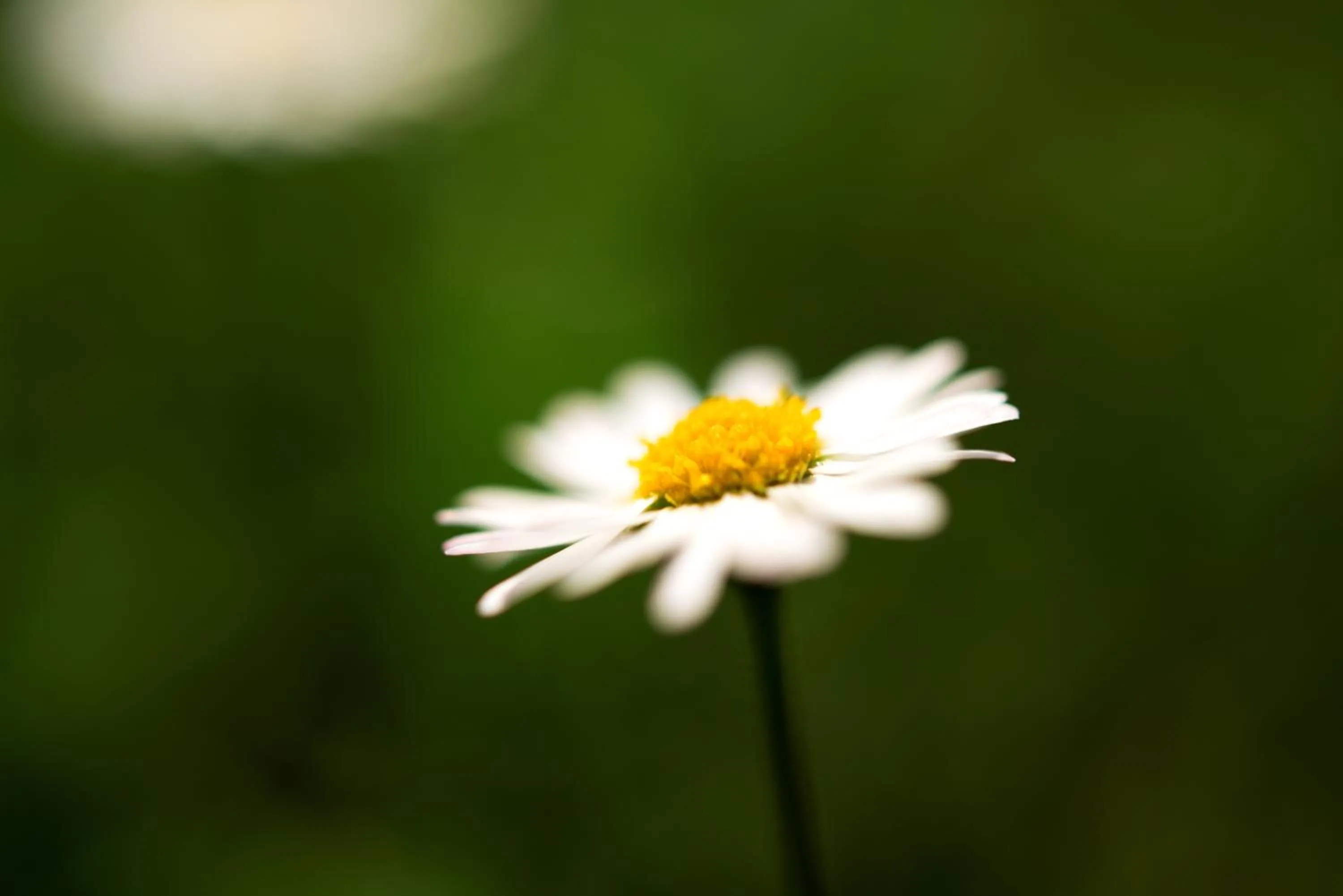Other in Angerburg Blumenhotel