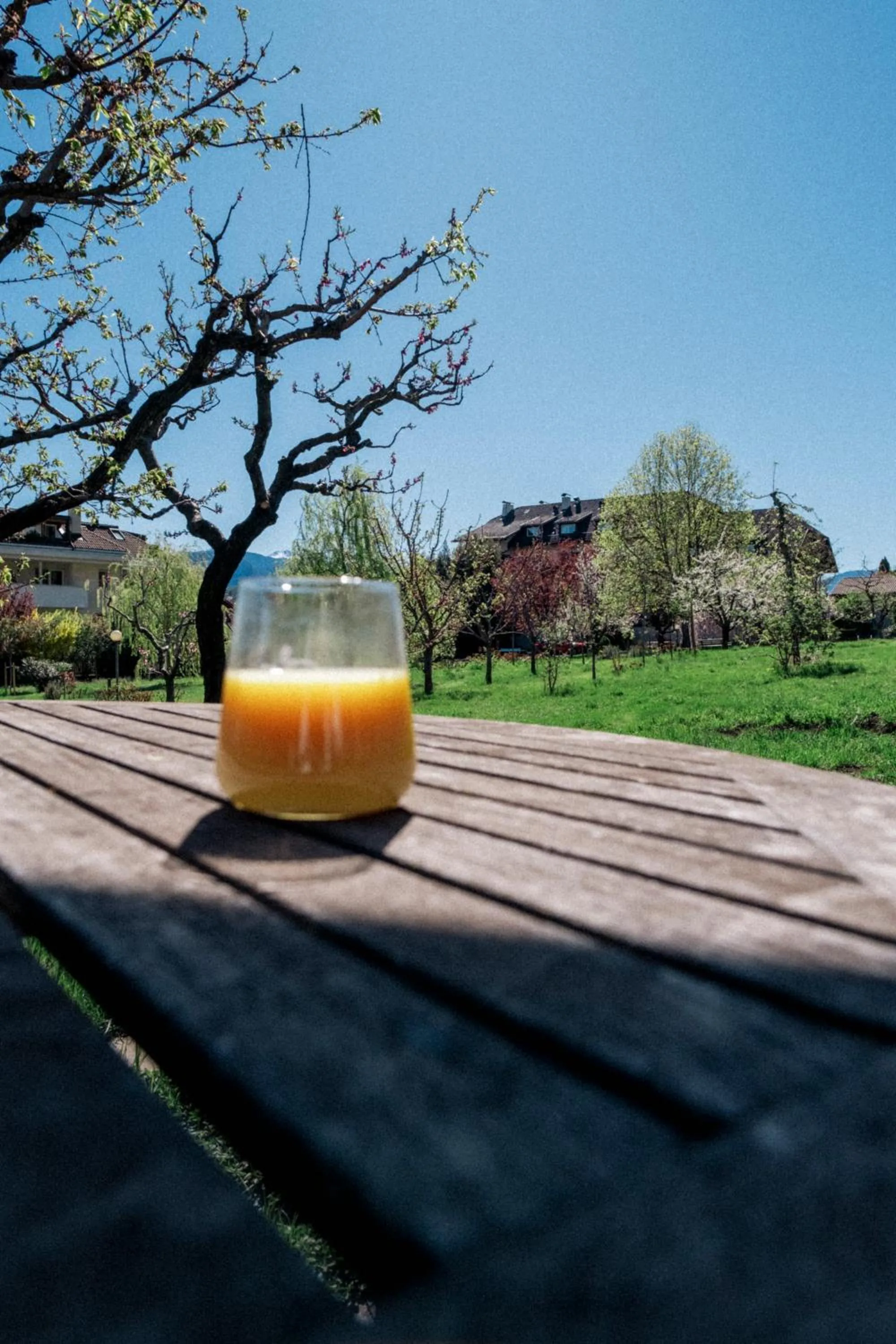 Spring in Angerburg Blumenhotel