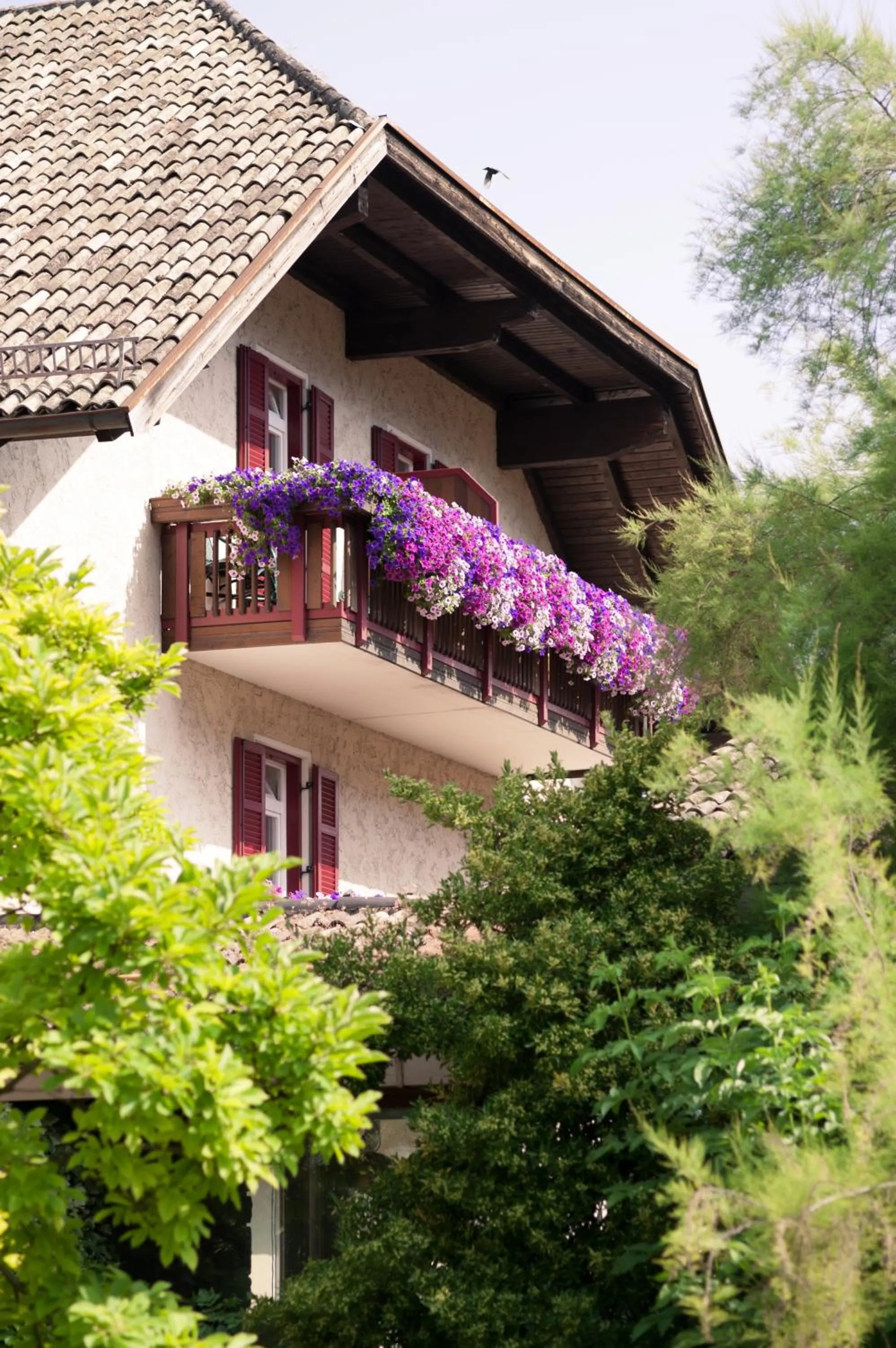 Facade/entrance in Angerburg Blumenhotel