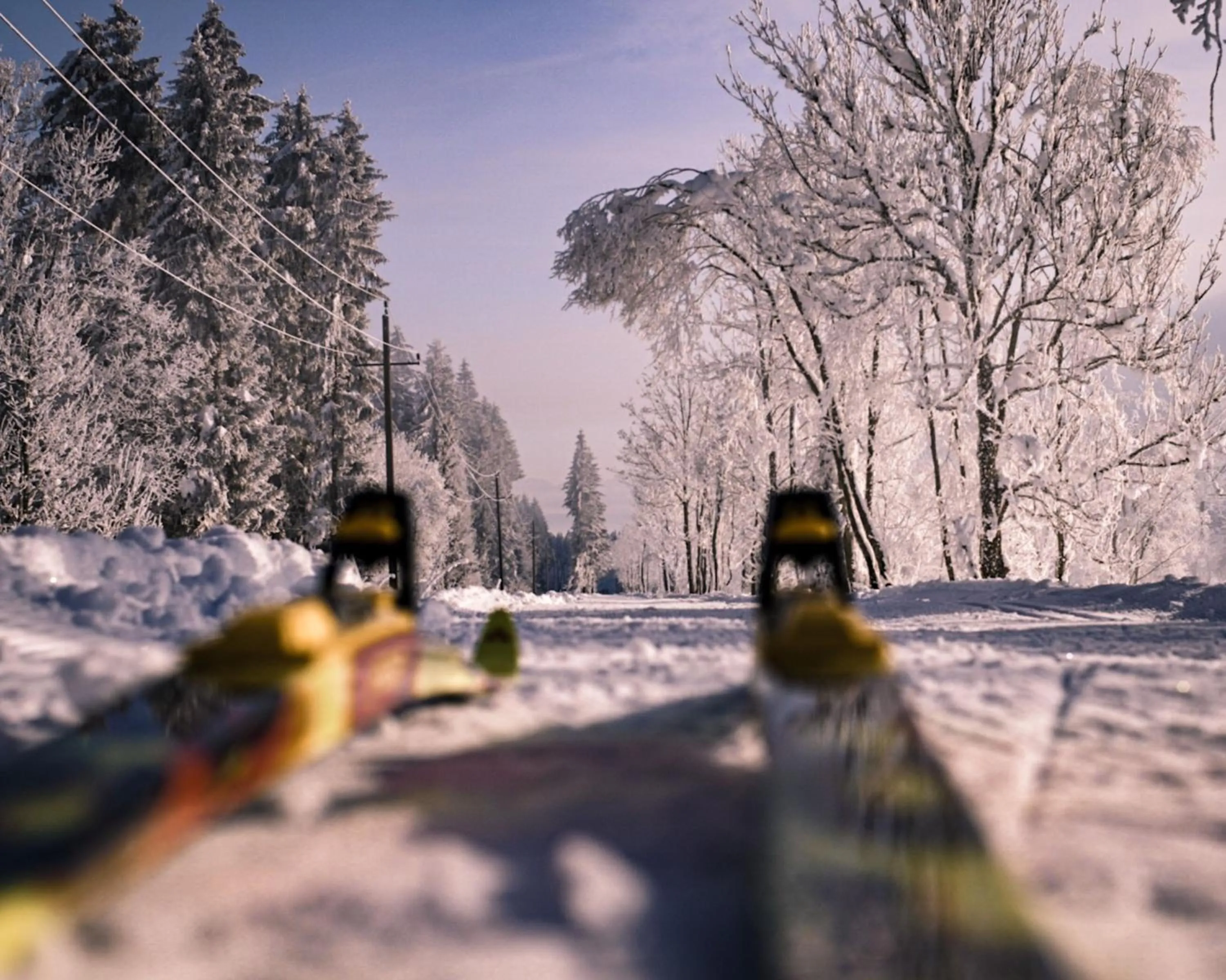 Sports in Gailtaler Hof