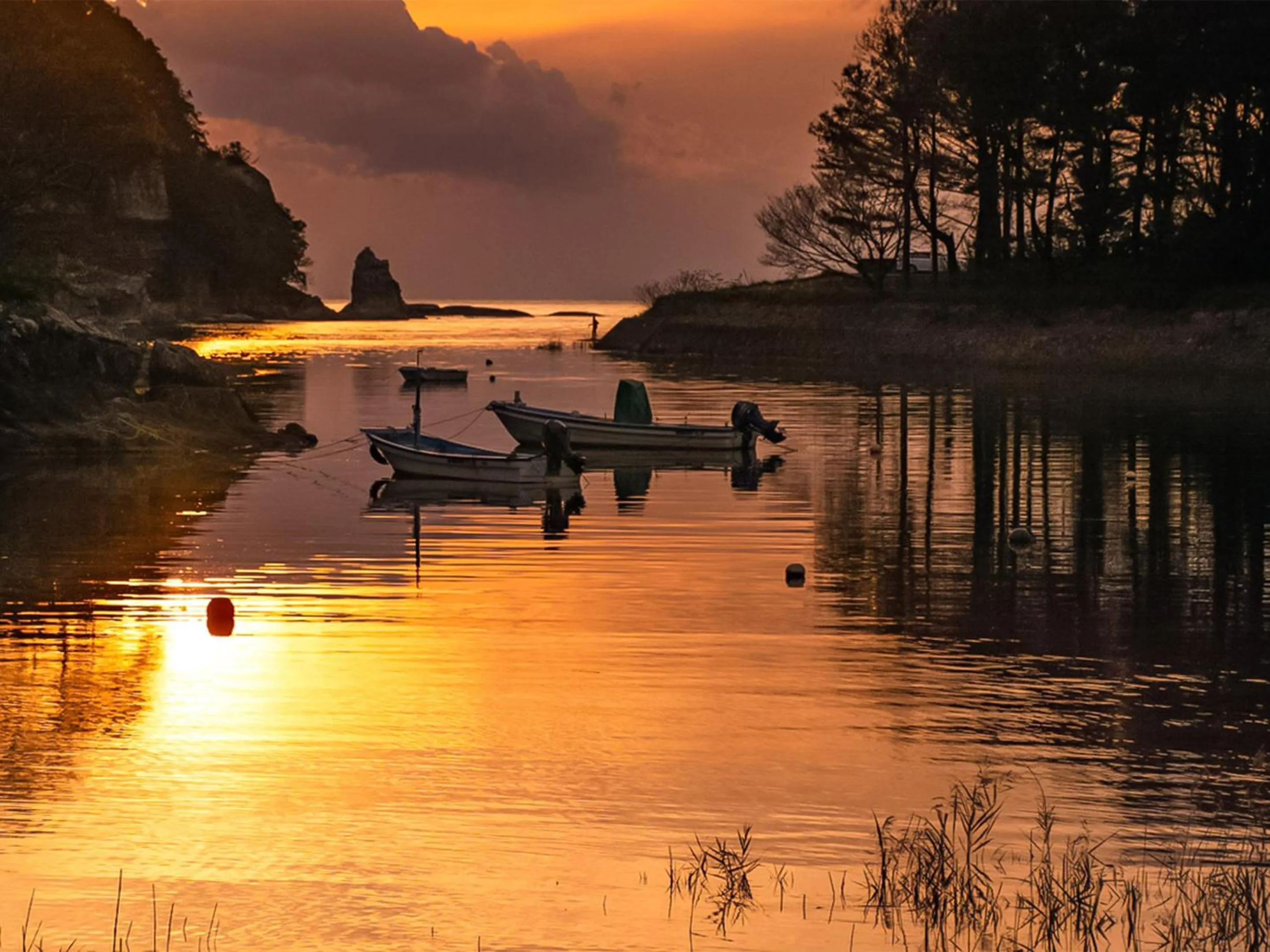 Natural landscape in Guest Cafe Kuchikumano