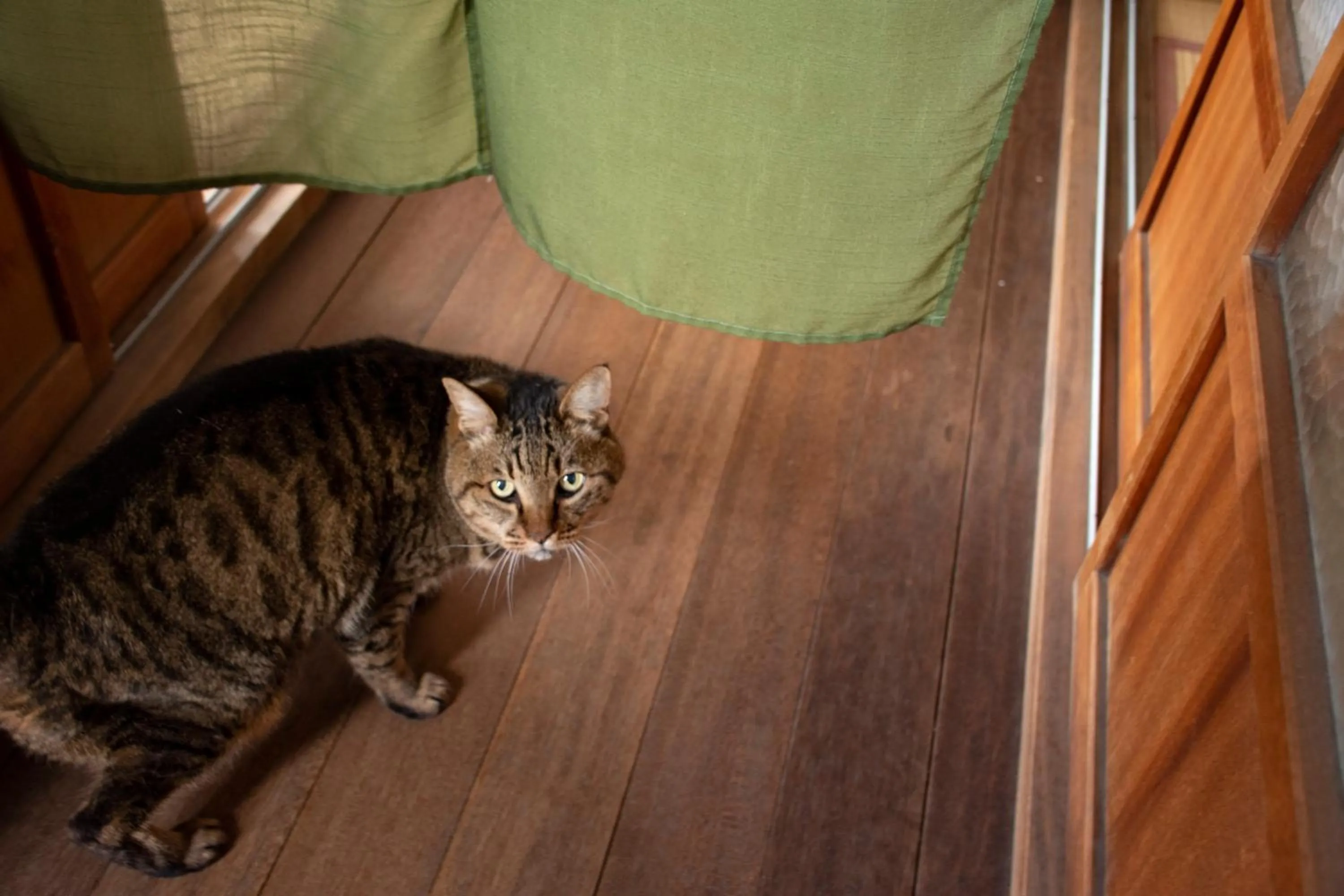 Other in Guest Cafe Kuchikumano