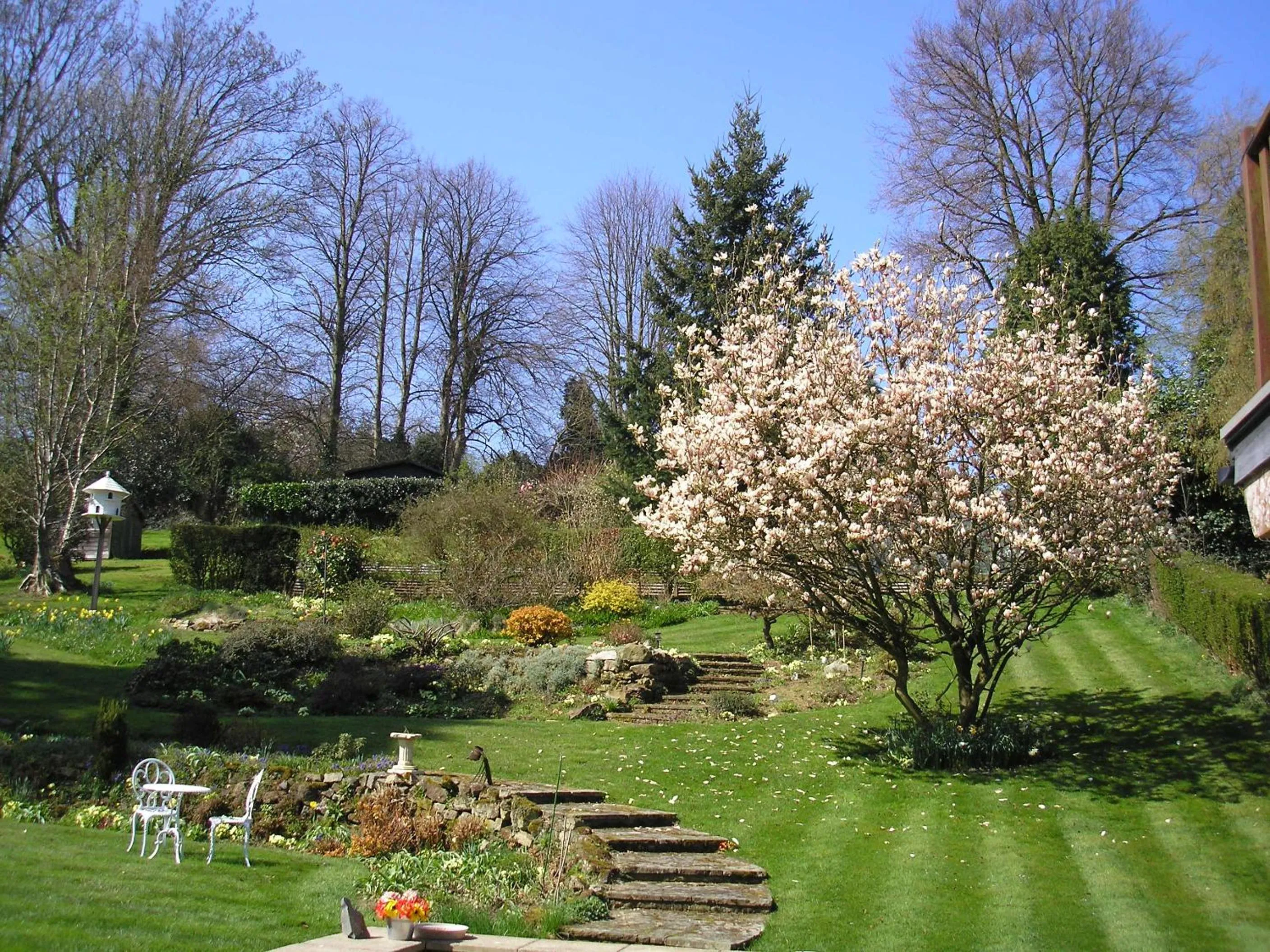 Chart House Bed and Breakfast