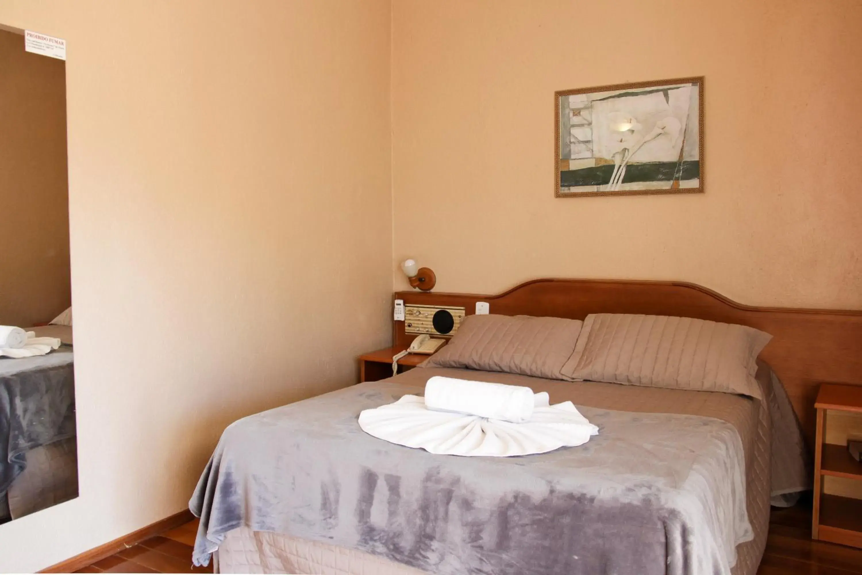 Special Luxury Room in Hotel Aconchego da Serra Special Luxury Room in Hotel Aconchego da Serra