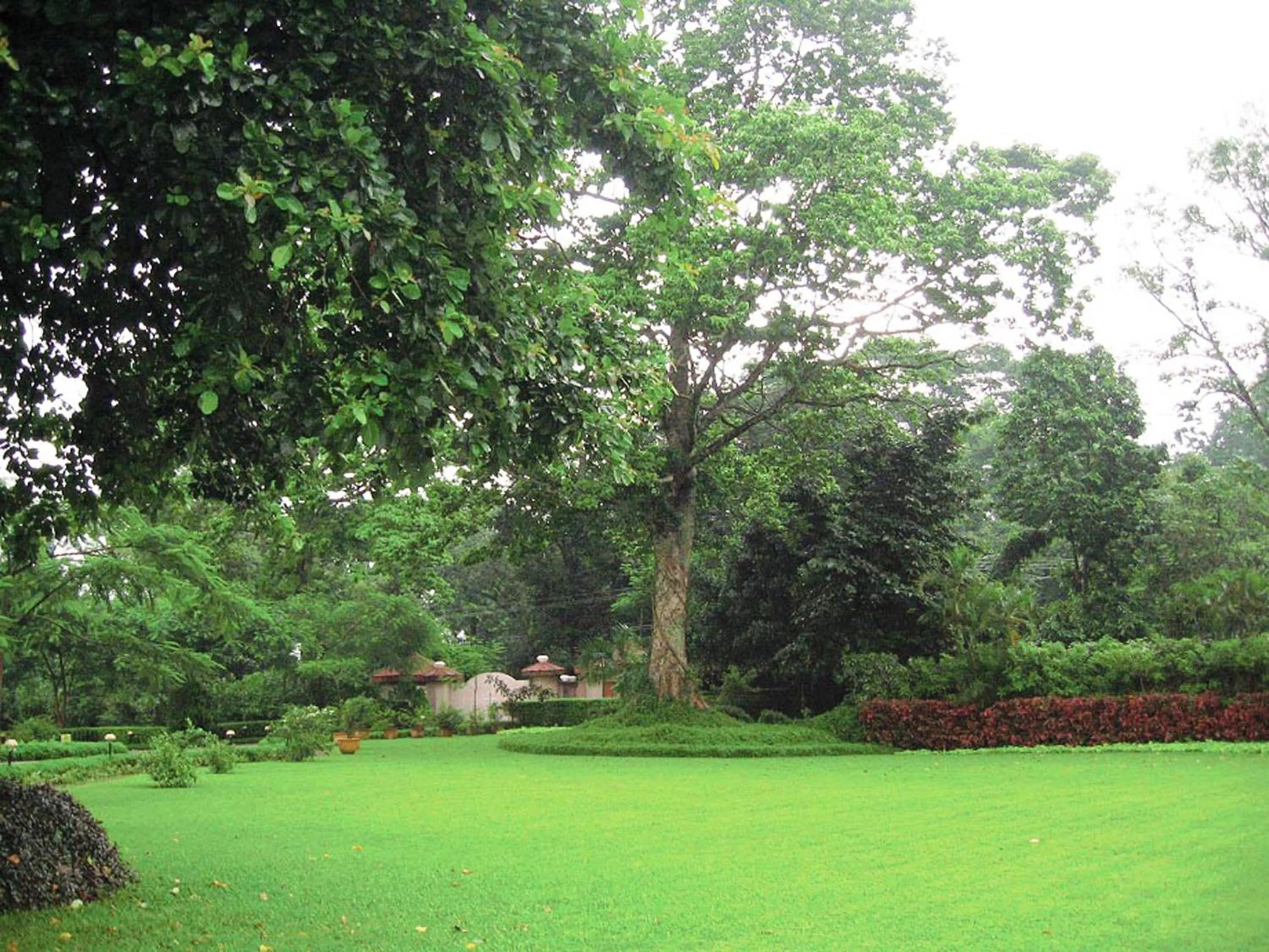 Garden in Sinclairs Retreat Dooars, Chalsa
