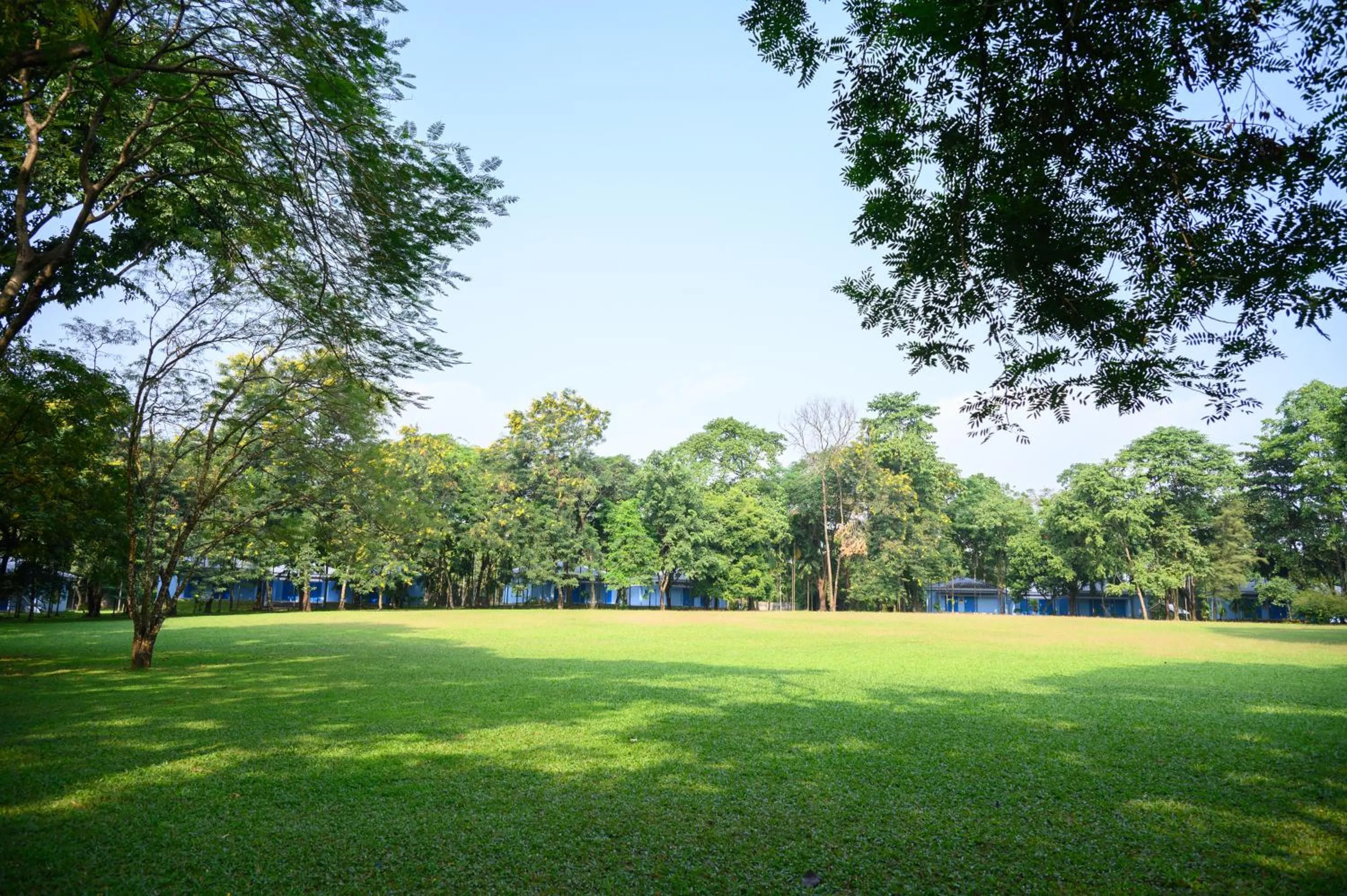 Garden in Sinclairs Retreat Dooars, Chalsa