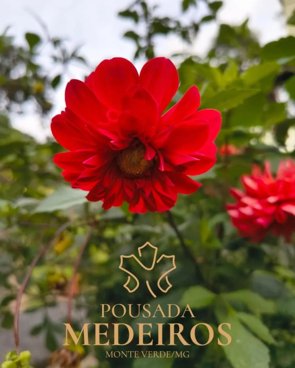 Pousada Medeiros