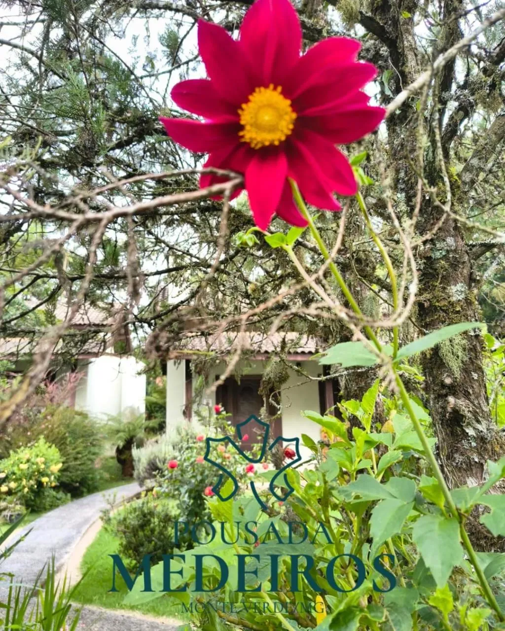 Pousada Medeiros