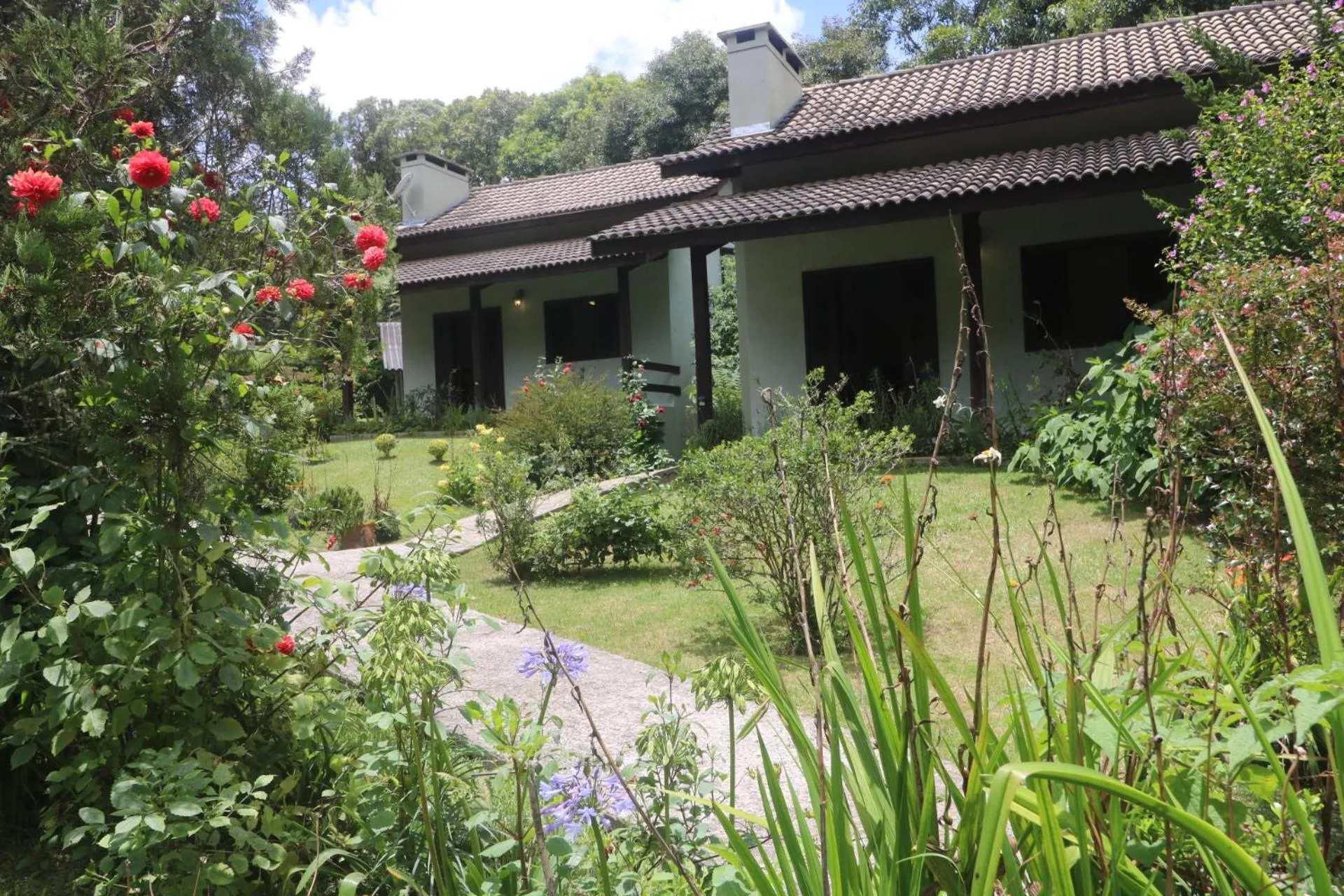 Garden in Pousada Medeiros