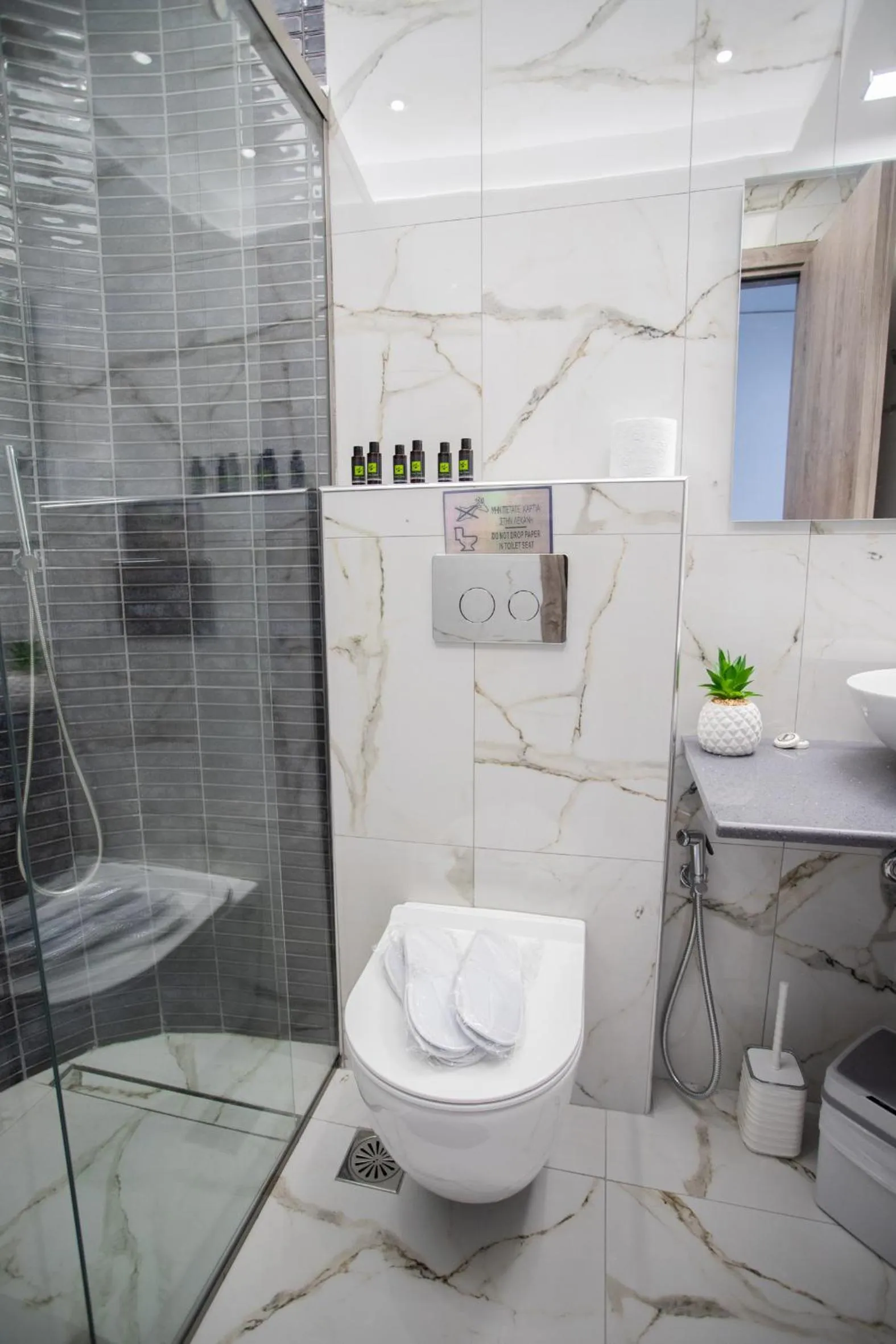 Toilet in Star Hotel