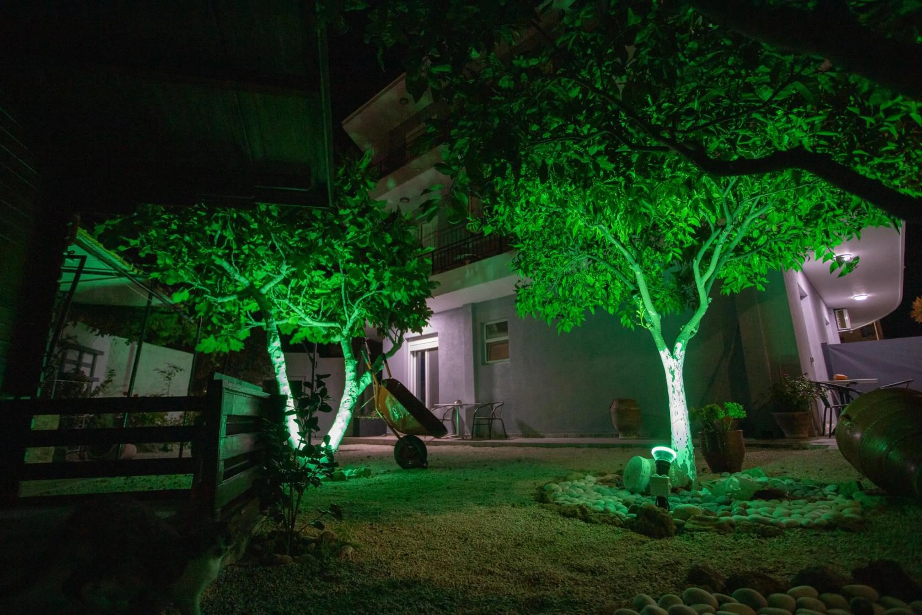 Garden view in Star Hotel