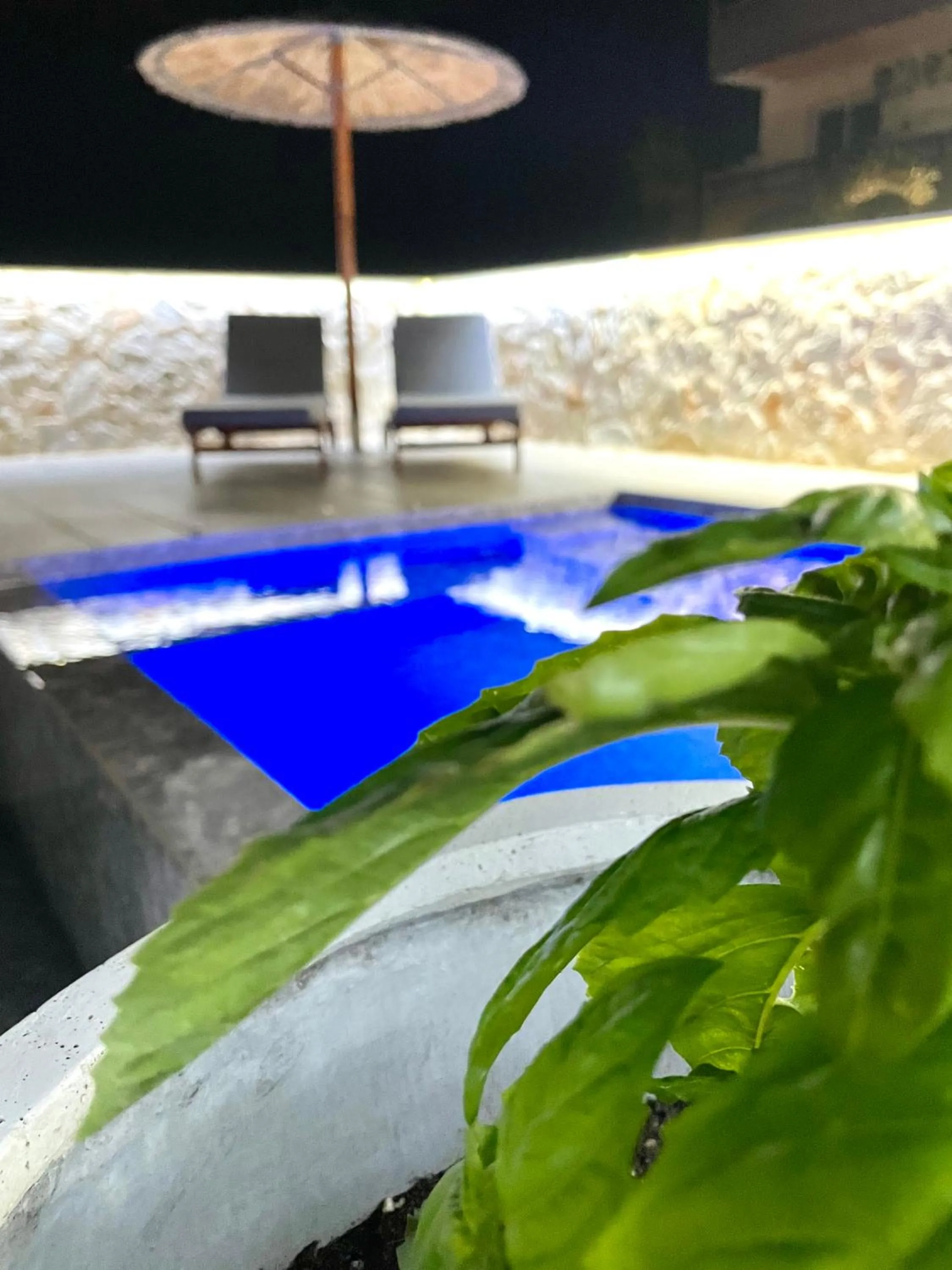 One-Bedroom Apartment in Kostas Studios