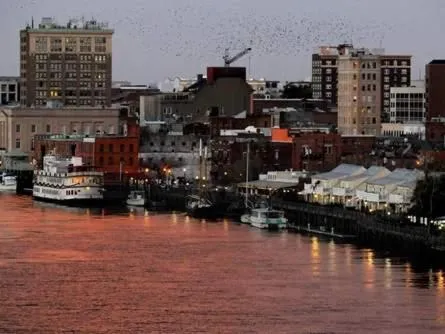 Other in Water Street Retreats 03