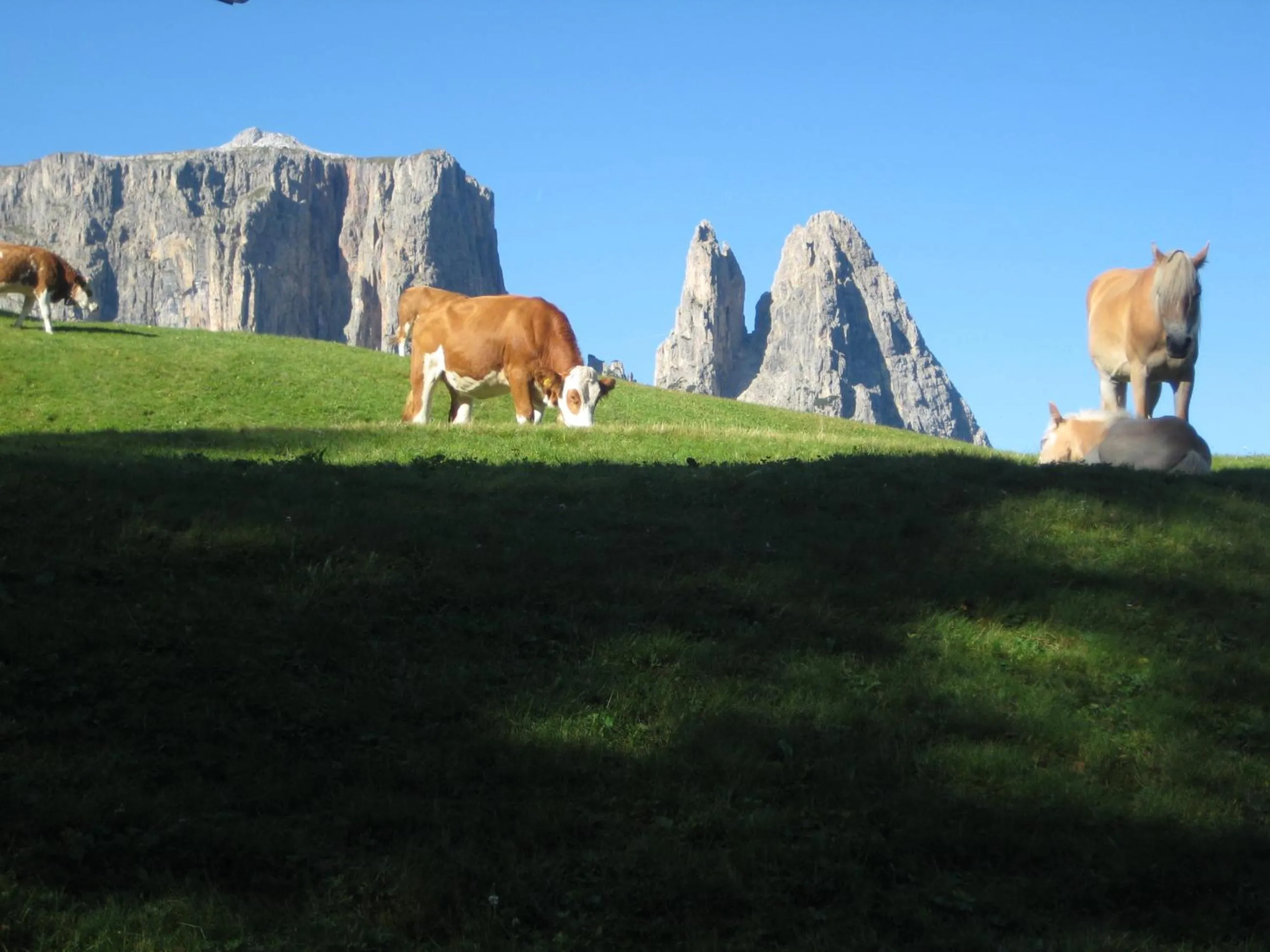 Nearby landmark in SOFTALPIN Garden Suites