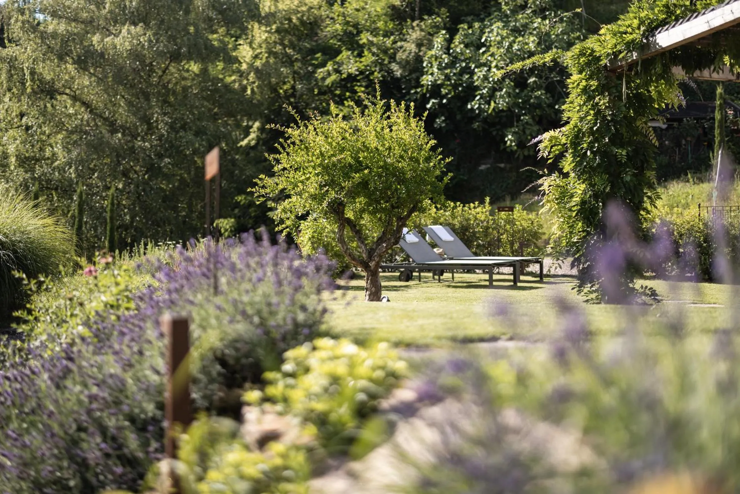 Garden in SOFTALPIN Garden Suites