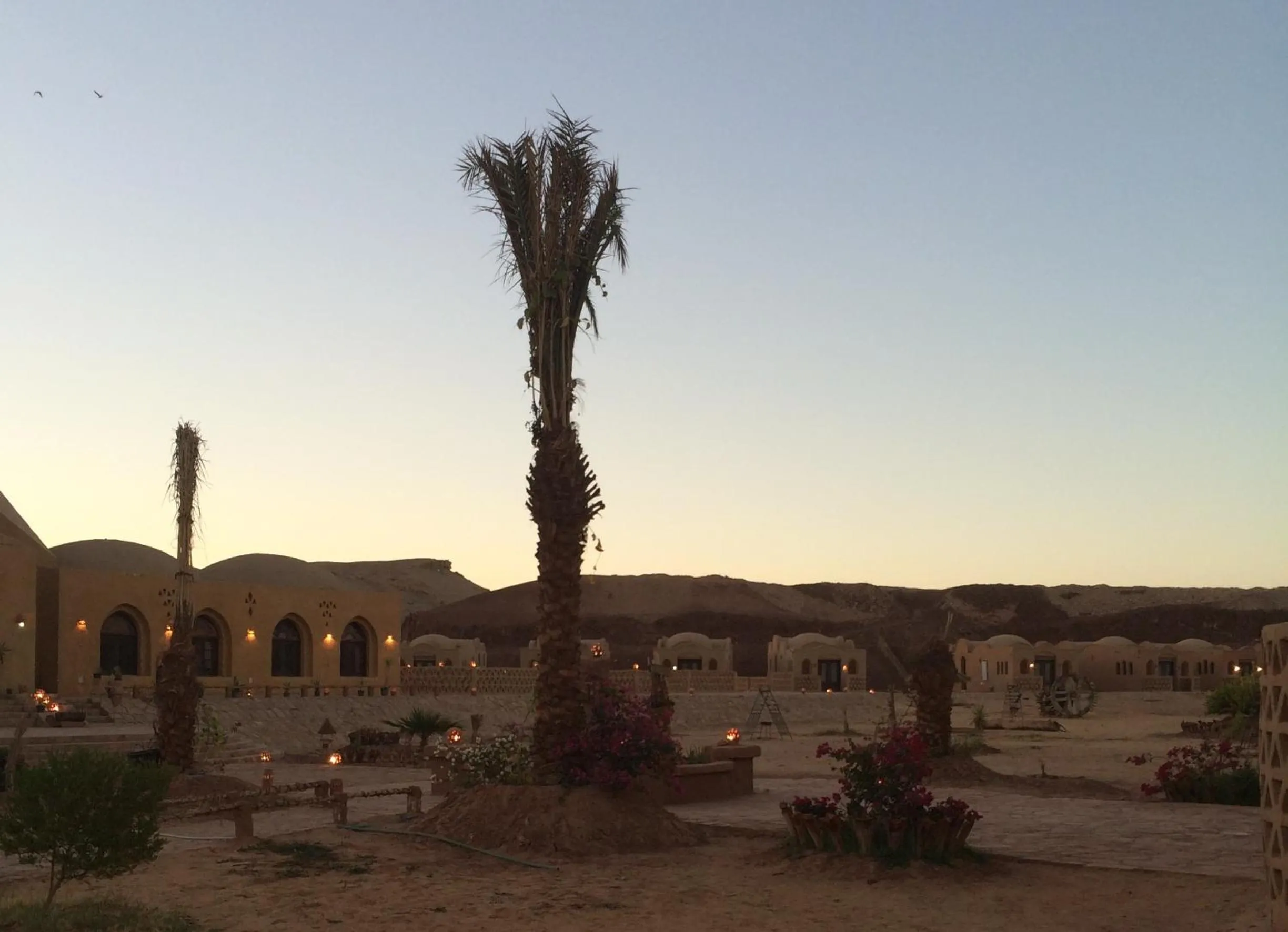 Natural landscape in Shanda Lodge Desert Resort