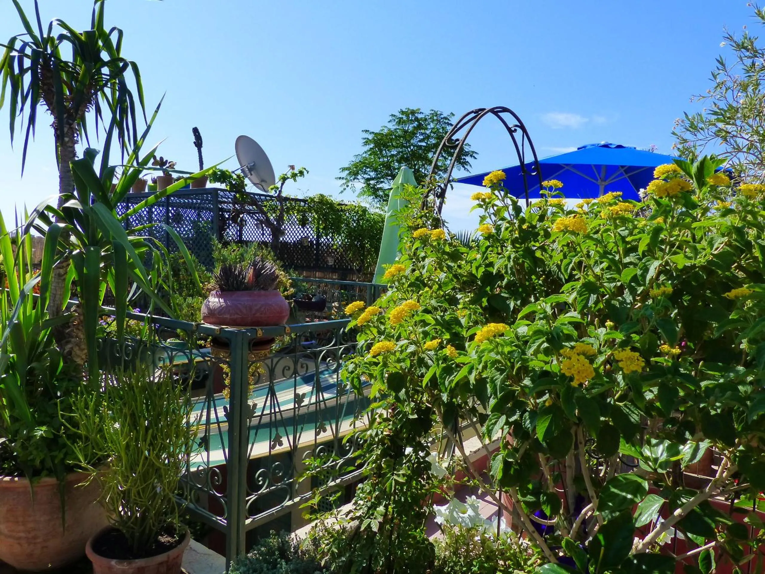 Facade/entrance in Riad Cherihane