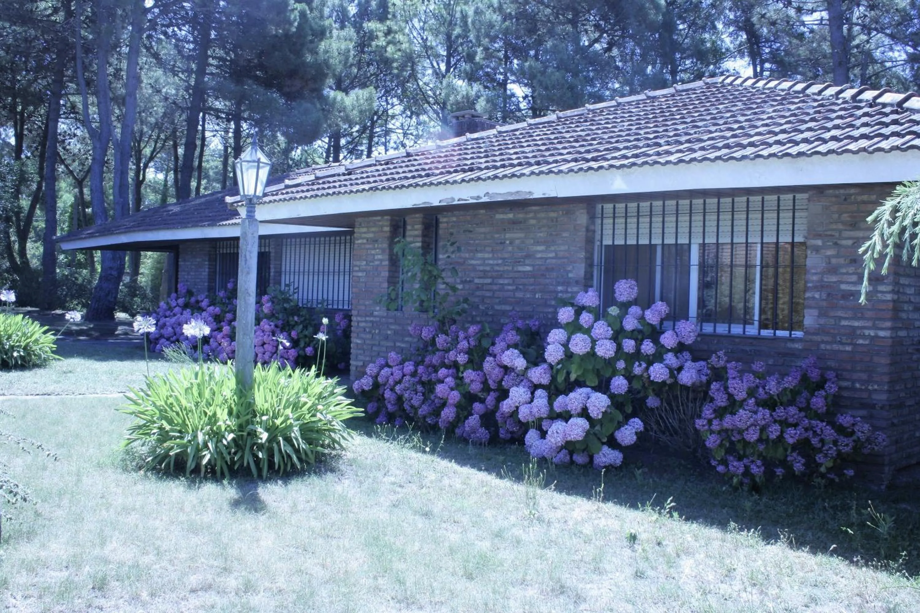 Chalet Panda