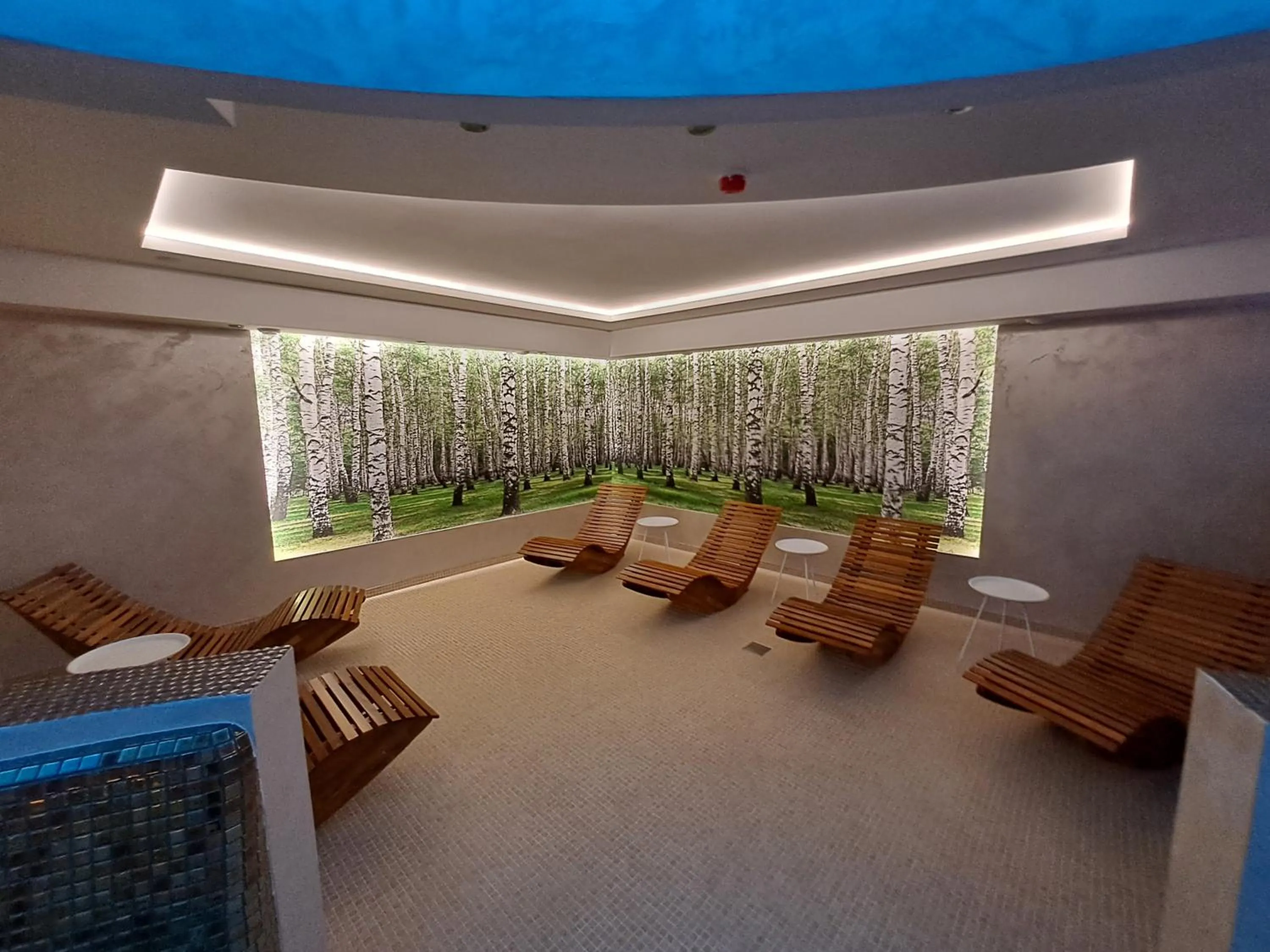 Spa and wellness centre/facilities in Hotel Górski